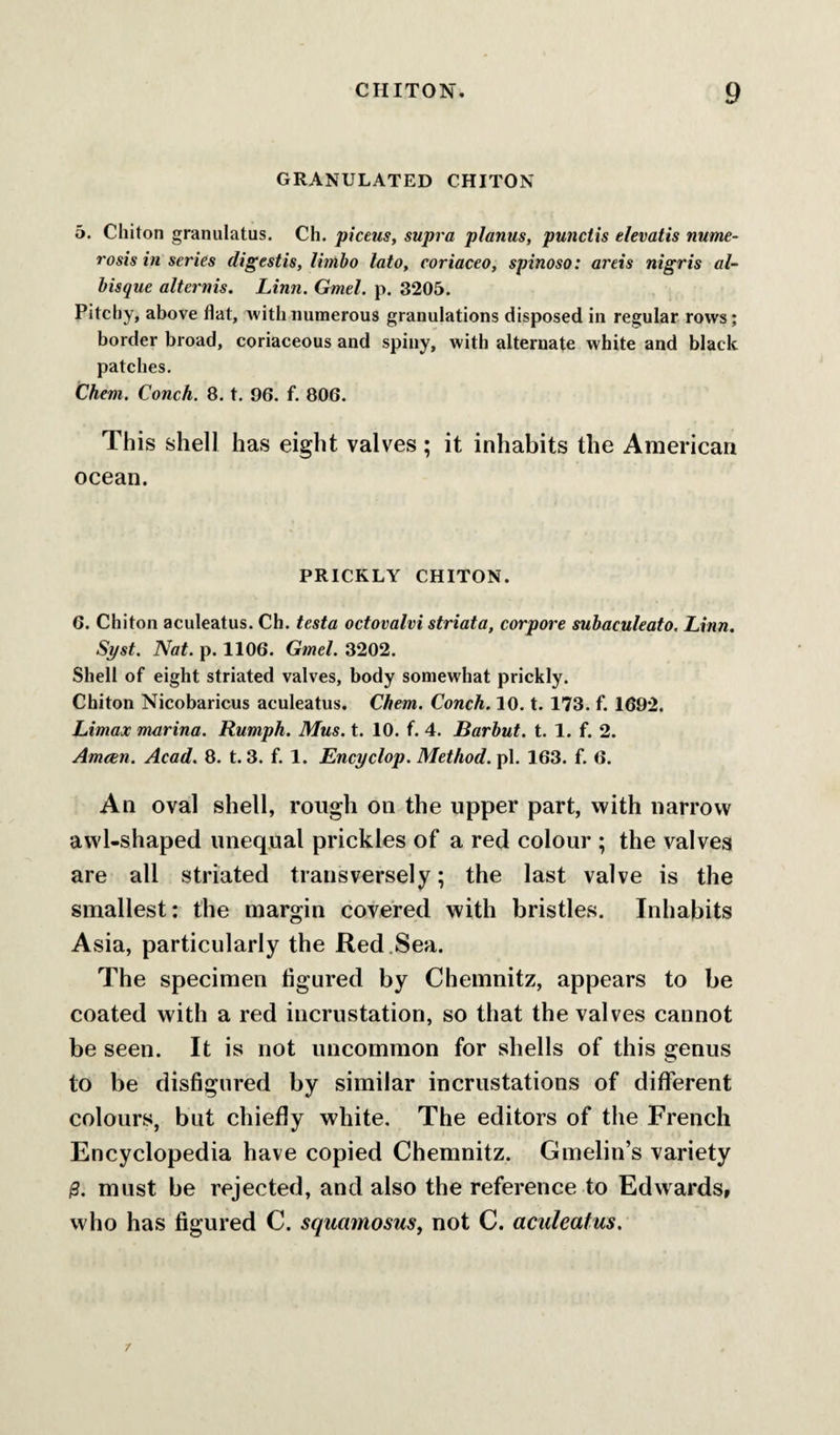 GRANULATED CHITON 5. Chiton granulatus. Ch. piceus, supra planus, punctis elevatis nume- rosis in series digestis, limbo lato, coriaceo, spinoso: areis nigris al- hisque alternis, Linn. Gmel. p. 3205. Pitchy, above flat, with numerous granulations disposed in regular rows; border broad, coriaceous and spiny, with alternate white and black patches. Chem. Conch. 8. t. 96. f. 806. This shell has eight valves ; it inhabits the American ocean. PRICKLY CHITON. 6. Chiton aculeatus. Ch. testa octovalvi striata, corpore subaculeato. Linn. Syst. Nat. p. 1106. Gmel. 3202. Shell of eight striated valves, body somewhat prickly. Chiton Nicobaricus aculeatus. Chem. Conch. 10.1.173. f. 1692. Limax marina. Rumph. Mus. t. 10. f. 4. Barbut. t. 1. f. 2. Amcen. Acad. 8. t. 3. f. 1. Encyclop. Method, pi. 163. f. 6. An oval shell, rough on the upper part, with narrow awl-shaped unequal prickles of a red colour ; the valves are all striated transversely; the last valve is the smallest; the margin covered with bristles. Inhabits Asia, particularly the Red,Sea. The specimen figured by Chemnitz, appears to be coated with a red incrustation, so that the valves cannot be seen. It is not uncommon for shells of this genus to be disfigured by similar incrustations of different colours, but chiefly white. The editors of the French Encyclopedia have copied Chemnitz. Gmelin’s variety B. must be rejected, and also the reference to Edwards, who has figured C. squamosus, not C. aculeatus.