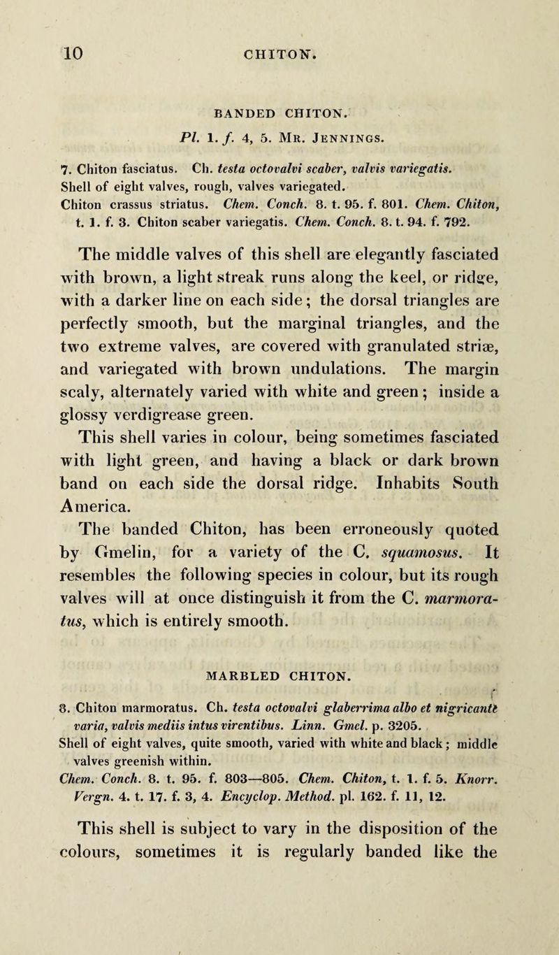 BANDED CHITON. PL 1./. 4, 5. Mr. Jennings. 7. Chiton fasciatus. Ch. testa octovalvi scaber, valvis variegatis. Shell of eight valves, rough, valves variegated. Chiton crassus striatus. Chem. Conch. 8. t. 95. f. 801. Chem. Chiton, t. 1. f. 3. Chiton scaber variegatis. Chem. Conch. 8. t. 94. f. 792. The middle valves of this shell are elegantly fasciated with brown, a light streak runs along the keel, or rid^e, with a darker line on each side; the dorsal triangles are perfectly smooth, but the marginal triangles, and the two extreme valves, are covered with granulated striae, and variegated with brown undulations. The margin scaly, alternately varied with white and green; inside a glossy verdigrease green. This shell varies in colour, being sometimes fasciated with light green, and having a black or dark brown band on each side the dorsal ridge. Inhabits South America. The banded Chiton, has been erroneously quoted by Gmelin, for a variety of the C. squamosus. It resembles the following species in colour, but its rough valves will at once distinguish it from the C. marmora- tus, which is entirely smooth. MARBLED CHITON. r 8. Chiton marmoratus. Ch. testa octovalvi glaberrima albo et nigricantt varia, valvis mediis intus virentibus. Linn. Gmcl. p. 3205. Shell of eight valves, quite smooth, varied with white and black; middle valves greenish within. Chem. Conch. 8. t. 95. f. 803—805. Chem. Chiton, t. 1. f. 5. Knorr. Vergn. 4. t. 17. f. 3, 4. Encyclop. Method, pi. 162. f. 11, 12. This shell is subject to vary in the disposition of the colours, sometimes it is regularly banded like the