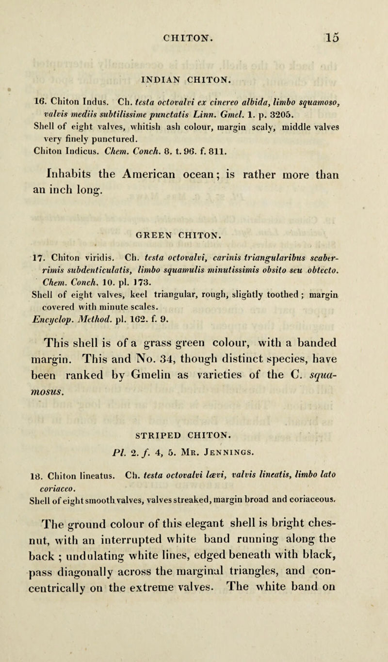 INDIAN CHITON. 16. Chiton Indus. Cli. testa octovalvi ex cinereo albida, Umbo squamoso, valvis mediis subtilissime punctatis Linn. Gmel. 1. p. 3205. Shell of eight valves, whitish ash colour, margin scaly, middle valves very finely punctured. Chiton Indicus. Chem. Conch. 8. t. 96. f. 811. Inhabits the American ocean; is rather more than an inch long. GREEN CHITON. 17- Chiton viridis. Ch. testa octovalvi, carinis triangularibus scaber- ritnis subdenticulatis, limbo squamulis minutissimis obsito sen obtecto. Chem. Conch. 10. pi. 173. Shell of eight valves, keel triangular, rough, slightly toothed ; margin covered with minute scales. Encyclop. Method, pi. 162. f. 9. This shell is of a grass green colour, with a banded margin. This and No. 34, though distinct species, have been ranked by Gmelin as varieties of the C. sqiia- mosus. STRIPED CHITON. PI. 2./. 4, 5. Mr. Jennings. 18. Chiton lineatus. Ch. testa octovalvi leevi, valvis lineatis, limbo lato coriaceo. Shell of eight smooth valves, valves streaked, margin broad and coriaceous. The ground colour of this elegant shell is bright ches- nut, with an interrupted white band running along the back ; undulating white lines, edged beneath with black, pass diagonally across the marginal triangles, and con¬ centrically on the extreme valves. The white band on