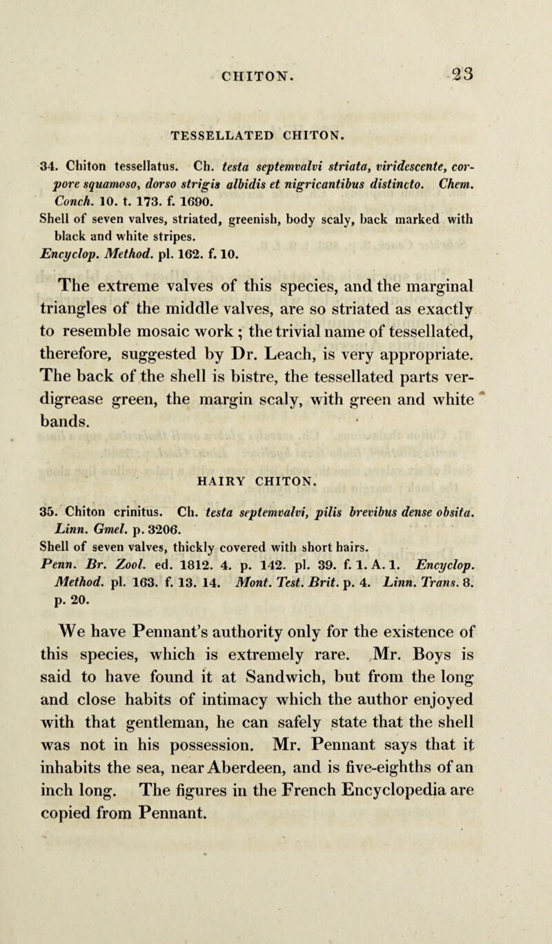 TESSELLATED CHITON. 34. Chiton tessellatus. Ch. testa septemvalvi striata, viridescente, cor- pore squamosa, dorso strigis alhidis et nigricantibus distincto. Chem. Conch. 10. t. 173. f. 1690. Shell of seven valves, striated, greenish, body scaly, back marked with black and white stripes. Encyclop. Method, pi. 162. f. 10. The extreme valves of this species, and the marginal triangles of the middle valves, are so striated as exactly to resemble mosaic work ; the trivial name of tessellated, therefore, suggested by Dr. Leacli, is very appropriate. The back of the shell is bistre, the tessellated parts ver- digrease green, the margin scaly, with green and white * bands. HAIRY CHITON. 35. Chiton crinitus. Ch. testa septemvalvi, pilis hrevibus dense obsita. Linn. Gmel. p. 3206. Shell of seven valves, thickly covered with short hairs. Penn. Br. Zool. ed. 1812. 4. p. 142. pi. 39. f. 1. A. 1. Encyclop. Method, pi. 163. f. 13. 14. Mont. Test. Brit. p. 4. Linn. Trans. 8. p. 20. We have Pennant’s authority only for the existence of this species, which is extremely rare. Mr. Boys is said to have found it at Sandwich, but from the long and close habits of intimacy which the author enjoyed with that gentleman, he can safely state that the shell was not in his possession. Mr. Pennant says that it inhabits the sea, near Aberdeen, and is five-eighths of an inch long. The figures in the French Encyclopedia are copied from Pennant.