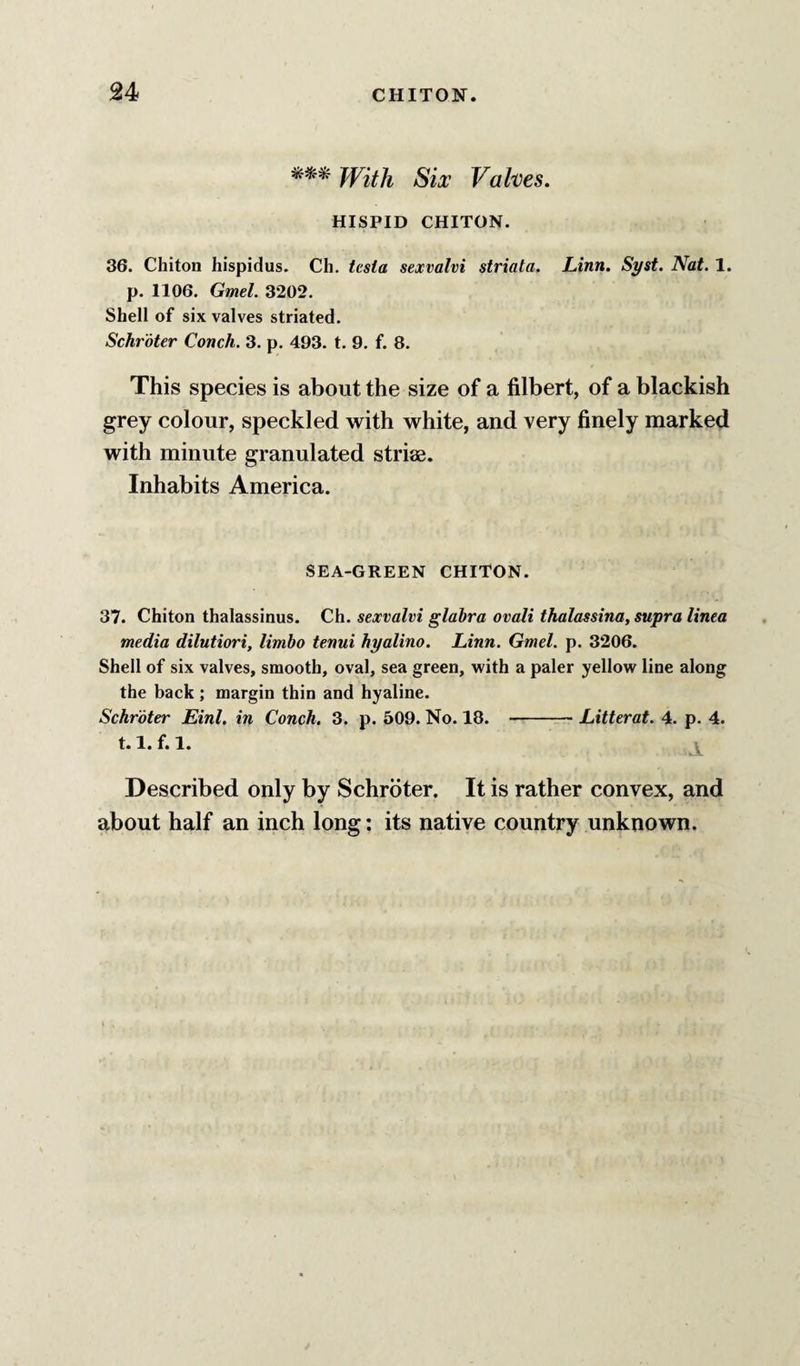 fyitji Valves. HISPID CHITON. 36. Chiton hispidus. Ch. testa sexvahi striata. Linn. Syst. Nat. 1. p. 1106. Gmel. 3202. Shell of six valves striated. Schroter Conch. 3. p. 493. t. 9. f. 8. This species is about the size of a filbert, of a blackish grey colour, speckled with white, and very finely marked with minute granulated striae. Inhabits America. SEA-GREEN CHITON. 37. Chiton thalassinus. Ch. sexvahi glabra ovali thalassina, supra linea media dilutiori, limbo tenui hyalino. Linn. Gmel. p. 3206. Shell of six valves, smooth, oval, sea green, with a paler yellow line along the back; margin thin and hyaline. Schroter Einl. in Conch, 3. p. 509. No. 18. -Litterat. 4. p. 4. 1.1. f. 1. Described only by Schroter. It is rather convex, and about half an inch long: its native country unknown.