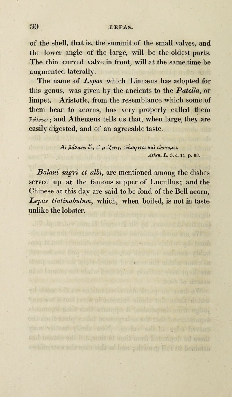 of the shell, that is, the summit of the small Valves, and the lower angle of the large, will be the oldest parts. The thin curved valve in front, will at the same time be augmented laterally. The name of Lepas which Linnaeus has adopted for this genus, was given by the ancients to the Patella, or limpet. Aristotle, from the resemblance which some of them bear to acorns, has very properly called them Bdxavoi; and Athenaeus tells us that, when large, they are easily digested, and of an agreeable taste. At ^dxavot 5'h suEKxpiTOi xa) Eu<7TO(Jt,oi. Athen. L. 3. c. 11. p. 88. Palani nigri et albi, are mentioned among the dishes served up at the famous supper of Lucullus; and the Chinese at this day are said to be fond of the Bell acorn, Lepas tintinabulum, which, when boiled, is not in taste unlike the lobster.