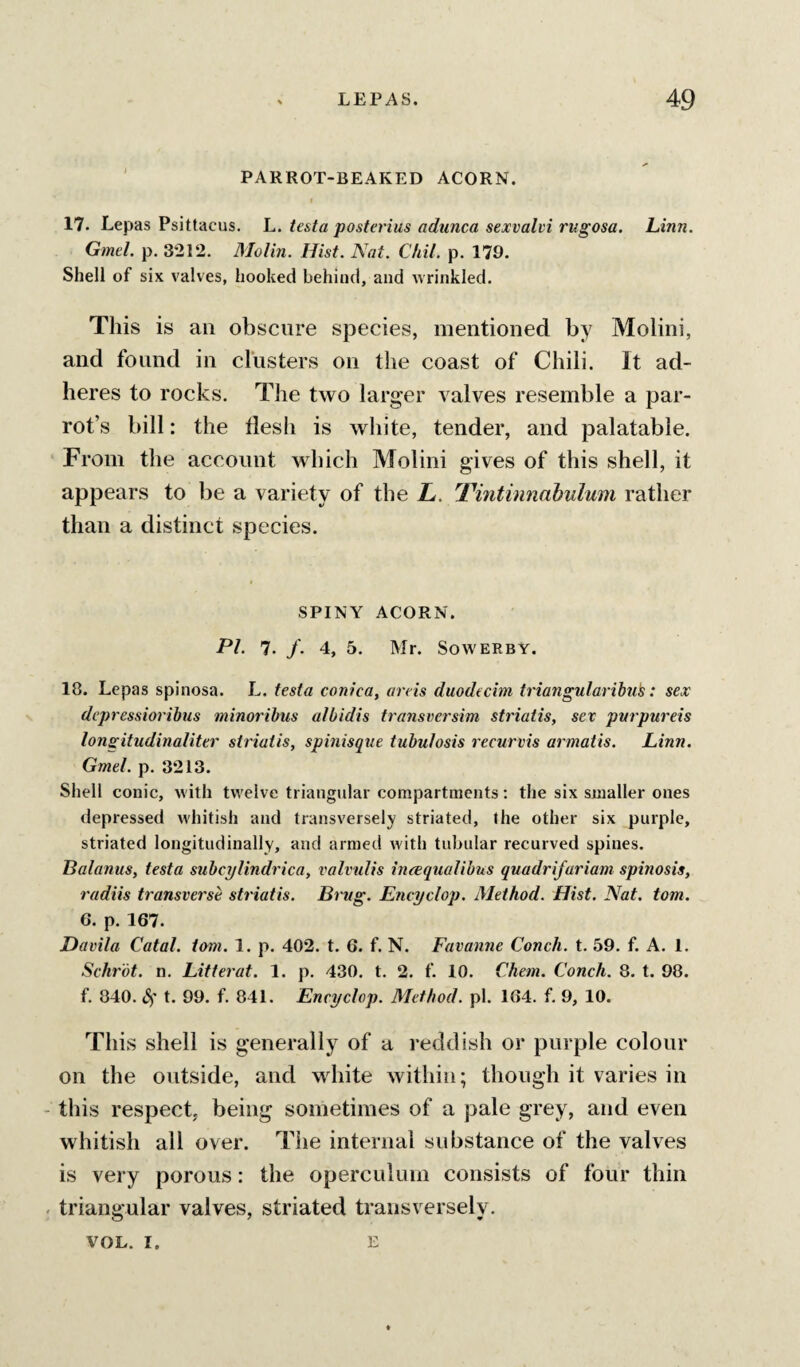 PARROT-BEAKED ACORN. 17. Lepas Psittacus. L. testa posterius adunca sexvahi rugosa. Linn. Gmel. p. 3212. Molin. Hist. Nat. Chil. p. 179. Shell of six valves, hooked behind, and wrinkled. This is an obscure species, mentioned by Molini, and found in clusters on the coast of Chili. It ad¬ heres to rocks. The two larger valves resemble a par¬ rot’s bill: the flesh is white, tender, and palatable. From the account which Molini gives of this shell, it appears to be a variety of the L. Tintinnabulmn rather than a distinct species. SPINY ACORN. PI. 7. /. 4, 5. Mr. SowERBY. 18. Lepas spinosa. L. testa conica, areis duodtehn ti'iangularibnls: sex depressiorihus tninoribus albidis transversim striatis, sex pvrpureis longitudinaliter striatis, spinisqiie tubulosis recurvis armatis. Linn, Gmel. p. 3213. Shell conic, with twelve triangular compartments: the six smaller ones depressed whitish and transversely striated, the other six purple, striated longitudinally, and armed with tubular recurved spines. Balanus, testa subcylindrica, valvulis ineequalibus quadrifariam spinosis, radiis transverse striatis. Brug. Encyclop. Method. Hist. Nat. tom. 6. p. 167. Davila Catal. tom. 1. p. 402. t. 6. f. N. Favanne Conch, t. 59. f. A. 1. Sclirot. n. Litterat. 1. p. 430. t. 2. f. 10. Chem. Conch. 8. t. 98. f. 840. cS't. 99. f. 841. Encyclop. Method, pi. 164. f. 9, 10. This shell is generally of a reddish or purple colour on the outside, and white within; though it varies in this respect, being sometimes of a pale grey, and even whitish all over. The internal substance of the valves is very porous: the operculum consists of four thin triangular valves, striated transversely. VOL. I, E