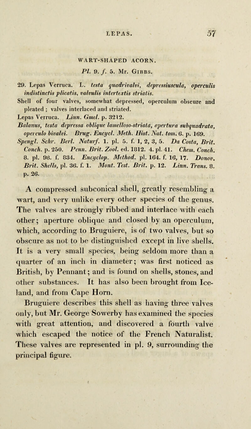 WART-SHAPED ACORN. PL 9, /. 5. Mr. Gibbs. 29. Lepas Verruca. L. testa quadrivalvi, depressiuscula, operculis indistinctis plicatis^ valvulis intertextis striatis. Shell of four valves, somewhat depressed, operculum obscure and pleated ; valves interlaced and striated. Lepas Verruca. Linn. Gmel. p. 3212. Balanus, testa dipressa oblique lamelloso-striata, apertura subquadrata, operculo bivalvi. Brug. Encycl. Meth. Hist. Nat. tom. 6. p. 169. Spengl. Schr. Berl. Naturf. 1. pi. 5. f. 1, 2, 3, 5. Da Costa, Brit. Conch, p. 250. Penn. Brit. Zool. ed. 1812. 4. pi. 41. Chem. Conch. 8. pi. 98. f. 834. Encyclop. Method, pi. 164. f. 16, 17. Donov. Brit. Shells, pi. 36. f. 1. 3Jont. Test. Brit. p. 12. Linn. Trans. 8. p. 26. A compressed subconical shell, greatly resembling a wart, and very unlike every other species of the genus. The valves are strongly ribbed and interlace with each other; aperture oblique and closed by an operculum, which, according to Bruguiere, is of two valves, but so obscure as not to be distinguished except in live shells. It is a very small species, being seldom more than a quarter of an inch in diameter; was first noticed as British, by Pennant; and is found on shells, stones,and other substances. It has also been brought from Ice¬ land, and from Cape Horn. Bruguiere describes this shell as having three valves only, but Mr. George Sowerby has examined the species with great attention, and discovered a fourth valve which escaped the notice of the French Naturalist. These valves are represented in pi. 9, surrounding the principal figure.