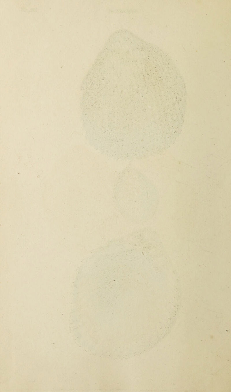 ■' . J r.'V •■1 V r' •• )? ) ‘V ■L X. *t. - '> 'y* k