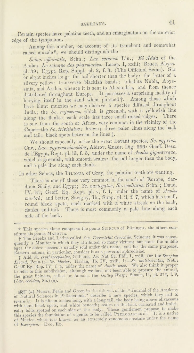 Certain species have palatine teeth, and an emargination on the anterior edge of the tympanum. Among this number, on account of its trenchant and somewhat raised muzzle*, we should distinguish the Seine, ojficinalis, Schn.; Lac. scincus, Lin.; El Adda of the Arabs; Le scinque des ‘pharmacies, Lacep. I, xxiii; Bruce, Abyss, pi. 39; Egypt. Rep. Suppl. pi. 2, f. 8. (The Officinal Seine). Six or eight inches long; the tail shorter than the body; the latter of a silvery yellow; transverse blackish bands; inhabits Nubia, Abys- sinia, and Arabia, whence it is sent to Alexandria, and. from thence distributed throughout Europe. It possesses a surprising facility of burying itself in the sand when pursued f. Among those which have blunt muzzles we may observe a species diffused throughout India; the Sc. rufescens, which is greenish, with a yellowish^ line along the flanks; each scale has three small raised ridges, lheie is one from the south of Africa, very common in the vicinity of the Cape—the Sc. trivittatus; brown; three paler lines along the back and tail; black spots between the linesJ. We should especially notice the great Levant species, Sc. cyprius, Cuv., Lac. cyprius sincoides, Aldrov. Quadr. Dig. 666; Geoff. Desc. de l’Egypt, Kept. pi. iii, f. 3, under the name of Anolis yigantesque, which is greenish, with smooth scales; the tail longer than the body, and a pale line along each flank. In other Seines, the Tiliqua of Gray, the palatine teeth are wanting. There is one of these very common in the south of Europe, Sar- dinia, Sicily, and Egypt; Sc. variegatus, Sc. ocellatus, Schn.; Daud. IV, lvi; Geoff. Eg. Rept. pi. v, f. 1, under the name of Anolis marhre; and better, Savigny, lb., Supp. pi. ii, f. 7, which has small, round black spots, each marked with a white streak on the back, flanks, and tail. There is most commonly a pale line along each side of the back. * This species alone composes the genus Scincus of Fitzingcr, the others con- stitute his genus Mabouia. f The Greeks and Latins called the Terrestrial Crocodile, Scincus; it was conse- quently a Monitor to which they attributed so many virtues; but since the middle ages, the above species is usually sold under this name, and for the same purposes. Eastern nations, in particular, consider it as a powerful aphrodisiac. ■| Add, Sc. erythrocephalus, Gilliams, Ac. Nat. Sc. Phil. I, xviii, (or the Scorpion Lizard, Penn.);—Sc. bicolor, Harlan, lb. IV, xviii, 1;—Sc. multiseriatus, Nob.; Geoff. Eg. Rep. IV, f. 4, under the name of Anolis pave.—We also think it proper to refer to this subdivision, although we have not been able to procure the animal, the great Scincus, called in Jamaica the Galley Wasp; Sloane, II, pi. 273, f. 9, (Z,ac, decidua, Sh.) (a). jggr («) Messrs. Peale and Green in the Cth vcl. of the “ Journal of the Academy of Natural Sciences in Philauelphia,” describe a new species,_ which they call S. ientrails. It is fifteen inches long, with a long tail, the body being above olivaceous with some black spots, and white beneath; scales on the back earinated and imbri- cate; folds spotted on each side of the body. These gentlemen propose to make this species the foundation of a genus to be called Pterogasterus. It is a native of Mexico, where it is known as an extremely venomous creature under the name of Escorpion.—Eng. Ed.