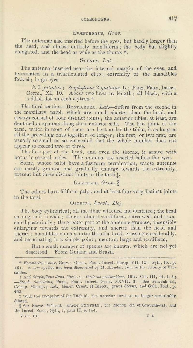 Evjesthetus, Grav. The antennae also inserted before the eyes, but hardly longer than the head, and almost entirely moniliform; the body but slightly elongated, and the head as wide as the thorax * * * §. Stenus, Lat. The antennae inserted near the internal margin of the eyes, and terminated in a triarticulated club; extremity of the mandibles forked ; large eyes. S. 2-gut talus ; Staphylinus 2-guttatus, L.; Panz. Faun, Insect. Germ., XI, 18. About two lines in length; all black, with a reddish dot on each elytron (-. The third section—Denticruea, Lat.—differs from the second in the maxillary palpi, which are much shorter than the head, and always consist of four distinct joints ; the anterior tibiae, at least, are dentated or spinous along their exterior side. The last joint of the tarsi, which in most of them are bent under the tibiae, is as long as all the preceding ones together, or longer; the first, or two first, are usually so small or so concealed that the whole number does not appear to exceed two or three. The fore-part of the head, and even the thorax, is armed with horns in several males. The antennae are inserted before the eyes. Some, whose palpi have a fusiform termination, whose antennse are mostly granose and gradually enlarge towards the extremity, present but three distinct joints in the tarsi Oxytelus, Grav. § The others have filiform palpi, and at least four very distinct joints in the tarsi. Osorius, Leach, Dej. The body cylindrical; all the tibiae widened and dentated ; the head as long as it is wide ; thorax almost -cordiform, narrowed and trun- cated posteriorly; the greater part of the antennae granose, insensibly enlarging towards the extremity, and shorter than the head and thorax ; mandibles much shorter than the head, crossing considerably, and terminating in a simple point; mentum large and scutiform. But a small number of species are known, which are not yet described. From Guiana and Brazil. * Evcesthetus sealer, Grav. ; Germ., Faun. Insect. Europ. VII, 13 ; Gyll., II)., p. 461. A new species has been discovered by M. Blondel, Jun. in the vicinity of Ver- sailles. -f Add Staphylinus Juno, Payk. ;—Pcederus proboscideus, Oliv., Col. Ill, 44, I, 5 ; —Staph, clavicornis, Fanz., Faun. Insect. Germ. XXVII, 2. See Gravenhorst, Coleop. Microp. ; Lat., Gener. Crust, et Insect., genus Stenus, and Gyll., Ibid., p. 463. + With the exception of the Tachini, the anterior tarsi arc no longer remarkably dilated. § See Encyc. Method., article Oxytele ; the Monog. cit. of Gravenliovst, and the Insect. Suec., Gyll., I, pars II, p.444. VOL. III. E K
