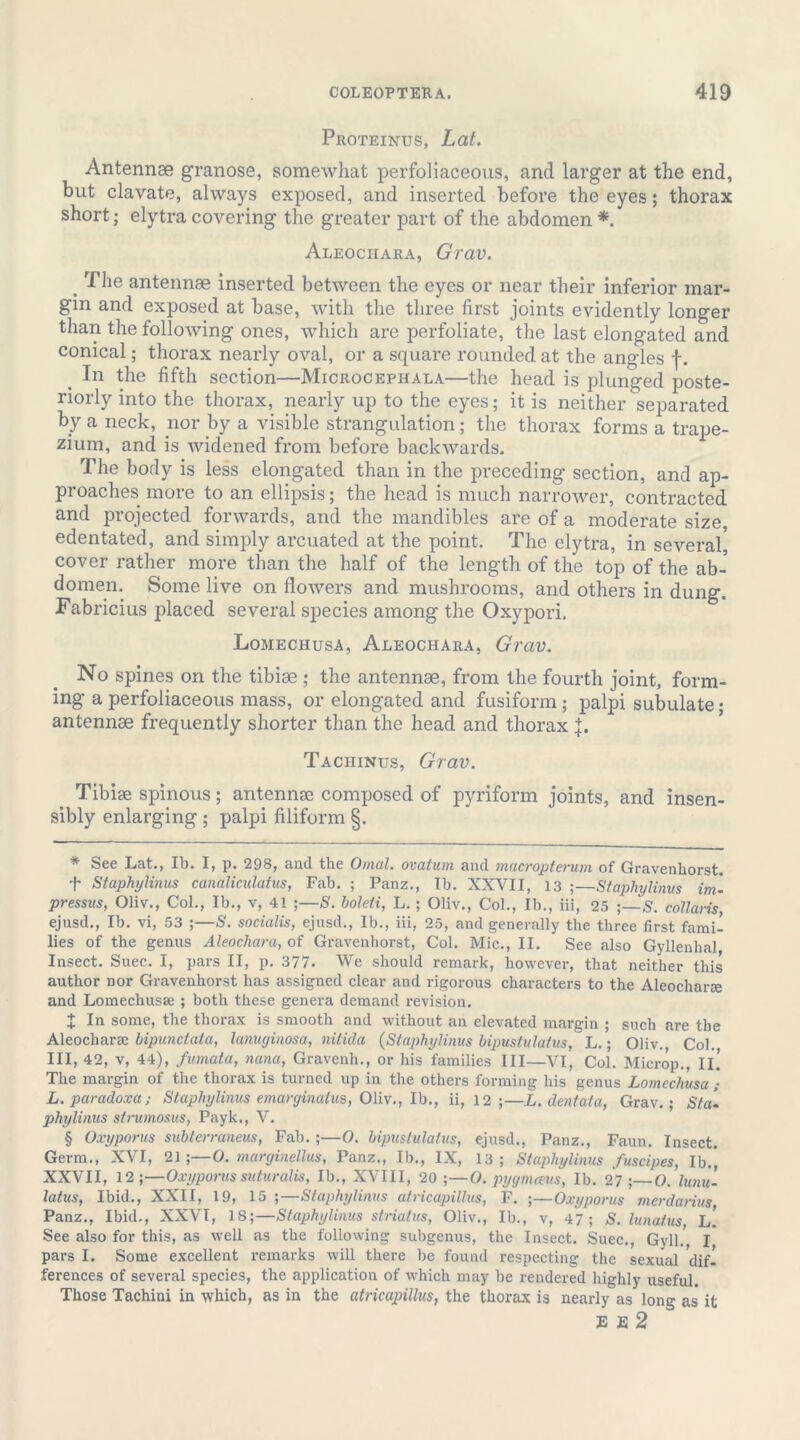 Proteinus, Lat. Antennae granose, somewhat perfoliaceous, and larger at the end, but clavate, always exposed, and inserted before the eyes; thorax short; elytra covering the greater part of the abdomen * * * §. Aleochara, Grav. ' The antennae inserted between the eyes or near their inferior mar- gin and exposed at base, with the three first joints evidently longer than the following ones, which are perfoliate, the last elongated and conical; thorax nearly oval, or a square rounded at the angles f. In the fifth section—Microcephala—the head is plunged poste- riorly into the thorax, nearly up to the eyes; it is neither separated by a neck, nor Iby a visible strangulation; the thorax forms a trape- zium, and is widened from before backwards. The body is less elongated than in the preceding section, and ap- proaches more to an ellipsis; the head is much narrower, contracted and projected forwards, and the mandibles are of a moderate size, edentated, and simply arcuated at the point. The elytra, in several^ cover rather more than the half of the length of the top of the ab- domen. Some live on flowers and mushrooms, and others in dung. Fabricius placed several species among the Oxypori. Lomechusa, Aleochara, Grav. No spines on the tibiae ; the antennae, from the fourth joint, form- ing a perfoliaceous mass, or elongated and fusiform; palpi subulate • antennae frequently shorter than the head and thorax f. Tachinus, Grav. Tibiae spinous; antennae composed of pyriform joints, and insen- sibly enlarging ; palpi filiform §. * See Lat., Ib. I, p. 298, and the Omal. ovatum and macropterum of Gravenliorst. f StaphyUnus canaliculatus, Fab. ; Panz., Ib. XXVII, 13 ;—StaphyUnus im- pressus, Oliv., Col., Ib., v, 41 S. boleti, L. ; Oliv., Col., Ib., iii, 25 ;—S. collaris, ejusd., Ib. vi, 53 ;—S. socialis, ejusd., Ib., iii, 25, and generally the three first fami- lies of the genus Aleochara, of Gravenliorst, Col. Mic., II. See also Gyllenhal Insect. Suec. I, pars II, p. 377. We should remark, however, that neither this author nor Gravenliorst has assigned clear and rigorous characters to the AleocharEe and Lomechusse ; both these genera demand revision. I In some, the thorax is smooth and without an elevated margin ; such are the Aleocharae bipunctata, lanuginosa, nitida (StaphyUnus bipustulalus, L.; Oliv., Col. Ill, 42, v, 44), furnata, nana, Gravenh., or his families III—VI, Col. Microp., Ill The margin of the thorax is turned up in the others forming his genus Lomechusa ; L.paradoxa; StaphyUnus emarginalus, Oliv., Ib., ii, 12 ;—L. dentata, Grav.; Sta- phylinus strumosus, Payk., V. § Oxyporus subterraneus, Fab. ;—0. bipustulatus, ejusd., Panz., Faun. Insect. Germ., XVI, 21;—0. marginellus, Panz., Ib., IX, 13; StaphyUnus fuscipes, Ib.', XXVII, 12 ;—Oxyporussuturalis, Ib., XVIII, 20 ;—0. pygmceus, Ib. 27 ;—O. lunu- latus, Ibid., XXII, 19, 15 ;—StaphyUnus atricapillus, F. ;—Oxyporus merdarius Panz., Ibid., XXVI, 18;—StaphyUnus striatus, Oliv., Ib., v, 47; S. lunafus L.' See also for this, as well as the following subgenus, the Insect. Suec., Gyll.', I pars I. Some excellent remarks will there be found respecting the sexual dif- ferences of several species, the application of which may be rendered highly useful. Those Tachini in which, as in the atricapillus, the thorax is nearly as long as it ee2