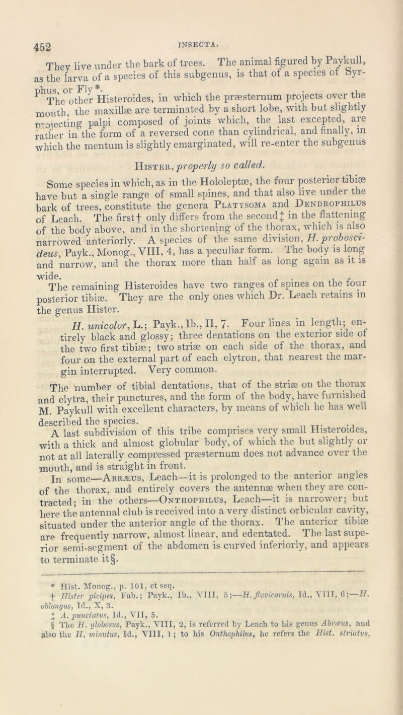 They live under the bark of trees. The animal figured by Paykull, as the larva of a species of this subgenus, is that of a species of byr- PhThe°other Histeroides, in which the prsesternum projects over the mouth, the maxillae are terminated by a short lobe, with but slightly woiecting palpi composed of joints which, the last excepted, are rather in the form of a reversed cone than cylindrical, and finally, m which the mentum is slightly emarginated, will re-enter the subgenus Hister, properly so called. Some species in which, as in the Hololeptae, the four posterior tibiae have but a single range of small spines, and that also live under the bark of trees, constitute the genera Platysoma and Dendrophilus of Leach. The firstf only differs from the second + in the flattening of the body above, and in the shortening of the thorax, which is also narrowed anteriorly. A species of the same division, H. probosci- deus, Payk., Monog., VIII, 4, has a peculiar form. The body is long and narrow, and the thorax more than half as long again as it is wide. . . The remaining Histeroides have two ranges of spines on the tour posterior tibiae. They are the only ones which Dr. Leach retains m the genus Hister. H. unicolor, L.; Payk., Ib., II, 7- Four lines in length; en- tirely black and glossy; three dentations on the exterior side of the two first tibiae; two striae on each side of the thorax, and four on the external part of each elytron, that nearest the mar- gin interrupted. Very common. The number of tibial dentations, that of the striae on the thorax and elytra, their punctures, and the form of the body, have furnished M. Paykull with excellent characters, by means of which he has well described the species. A last subdivision of this tribe comprises very small Histeroides, with a thick and almost globular body, of which the but slightly or not at all laterally compressed praesternum does not advance over the mouth, and is straight in front. In some—Abr.eus, Leach—it is prolonged to the anterior angles of the thorax, and entirely covers the antennae when they are con- tracted; in the others—Onthophilus, Leach—it is narrower; but here the antennal club is received into a very distinct orbicular cavity, situated under the anterior angle of the thorax. The anterior tibiae are frequently narrow, almost linear, and edentated. The last supe- rior semi-segment of the abdomen is curved inferiorly, and appears to terminate itS. * Hist. Monog., p. 101, et seq. f Hister picipes, Fab.; Payk., Ib., VIII, 5;—H.flavicoruis, Id., VIII, C;—II. oblongus, Id., X, 3. X A. punctatus, Id., VII, 5. § The H. globosus, Payk., VIII, 2, is referred by Leach to his gemis Abrams, and also the II, minutus, Id., VIII, 1; to his Onth&philv.s, he refers the Hist, striatvs.