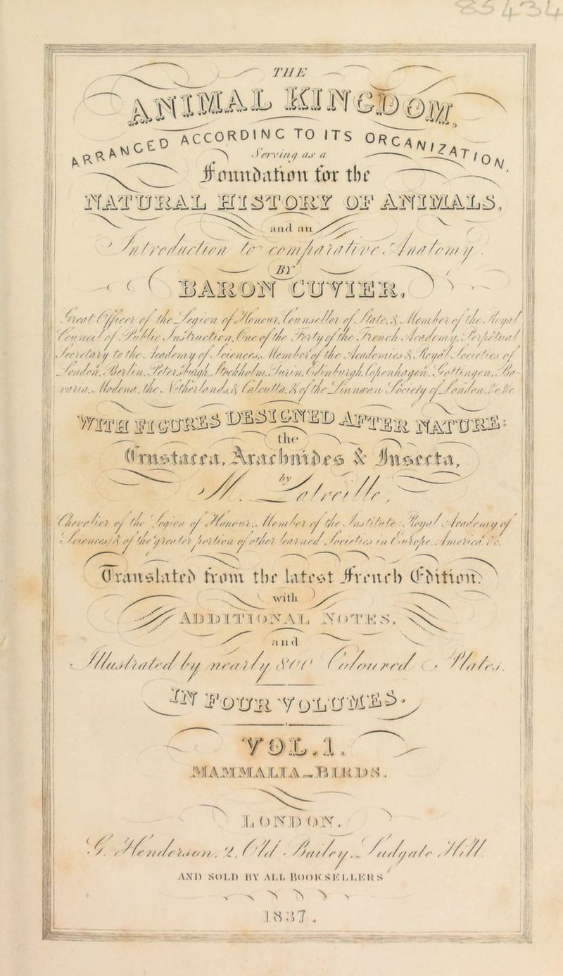 ' J (A- O W- »\ I .IXl A 1L» •<&. CnJ* ** ' TEE •tfp a > r £0 according to its orCAn ^ A J*,v4 ^ —~47/0 A/ jr mitt Datum tin* the iTATOlUAlL anrl nu^ ////'/'/' 7 •7/ //• ’ rsMt/flifth/v*- ///////■/// // . ^ ri/ r SAItOH CtryrJE'Ji, A / 77 ~»-4//. wvv y f/rr- 'syren fen net 47. y////■//(■. Zr.> /'wr/rm r^ZZp/i'eni.fen /us/Zet yf. Z/n/e.,)'. /fen/ Ze r y /Ze ■ Zryr(Z\ j! '. Z ns /•/ Ze ■ 7'v ,*/ //v1. /irnr/t ■ frnrf/// y.. f Eiston /1II Zecisfaiy fo tZf Zrn,/sntye/- Zr/snss.,.. //sn/Ze/y Z/e .ZrnJe tn'e.r 4ey/>'Z Zr-sre/'en r/ . f//f/>//.. Zs'tZoi.. fs/e). ,,/>0////. WfrZZ<fn/.. '/(i)/-n. ^i/o/Zi/iyZfyirn/nyen. ■ 477/(y44- li>Ua.. /Ze/Zrnn ,(Z/'. \f nf./.r\ fr'f////.& y //e _f/t/itr/’i/ './/‘e/s/y y_fe//i ft/./i,1/■ 'ffl'Vf II'if (jDjCS^ *^T35lK, ixLAl’'Divil> • 8 mv-titcea, Am cbm tv & Jnsecta, 7 riy r Z/Y' //r, ill f/we/’f ) ry Zr , vv/vv/ Zfn/trni.. ZZs/rt Z } y /ft ■ 4/ 7 7/ /r . Zeyt>/4 Zft’/Zf at y y ■ ffsns/it/A /*/ f//e 'y'tsr' 7'/’ /if'ihmt r/ r’Zrs) frineZ, Znr's^//',/ /// f ■ >< > r/t s,. Z/nsi>sr>'/e. / -rr ^ (J'rauslatvD tram tin* latent Jhv it rb (J'Mtiim: An ID XTlii y.VL AdTKM. A? a ii d Z/Z/tj/iff/faf/1/// f/r/// /y (iVr Sr/ s>// /■ se v'// * Z/r/r./ iiY yrjvji YIALAL MAPI MALTAI U DM . N i,! LOW.) OPT, ''/'/,/■ /ZUy/yJysr/.M .\Xl) SOU) llY AU< Rook SKI<1<KI<S > > > > I M . j 1 ., -1%
