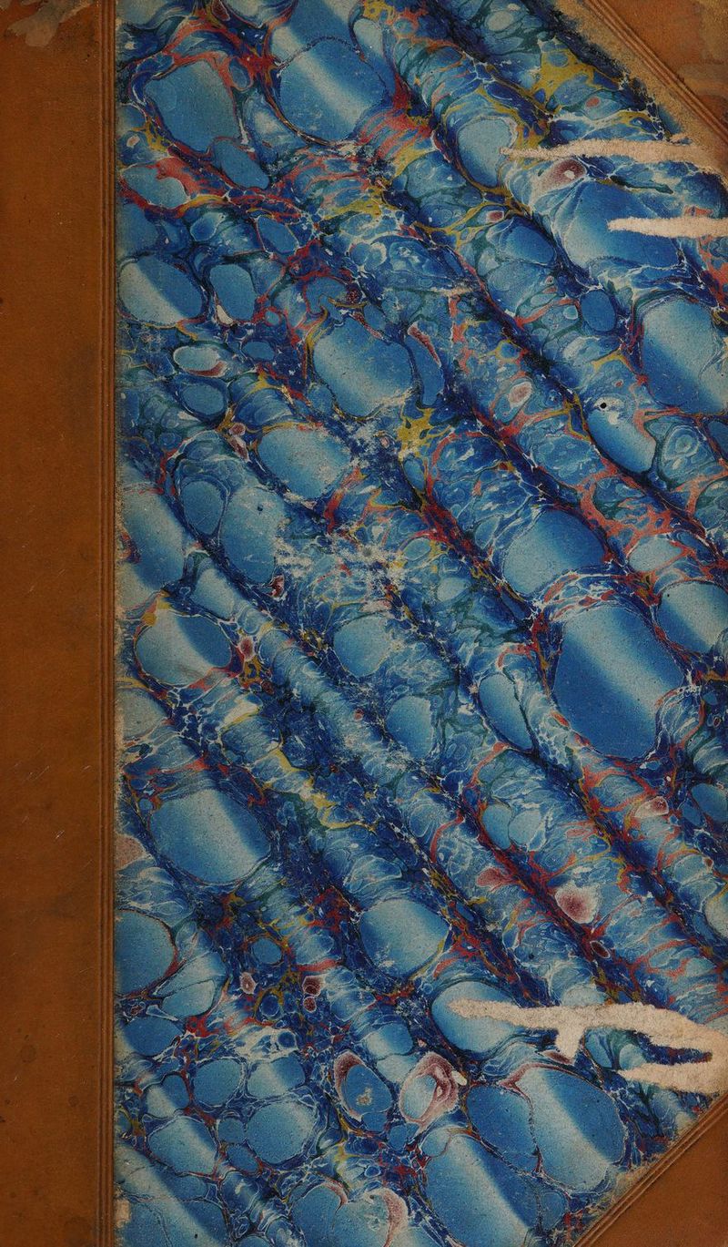 No text description is available for this image