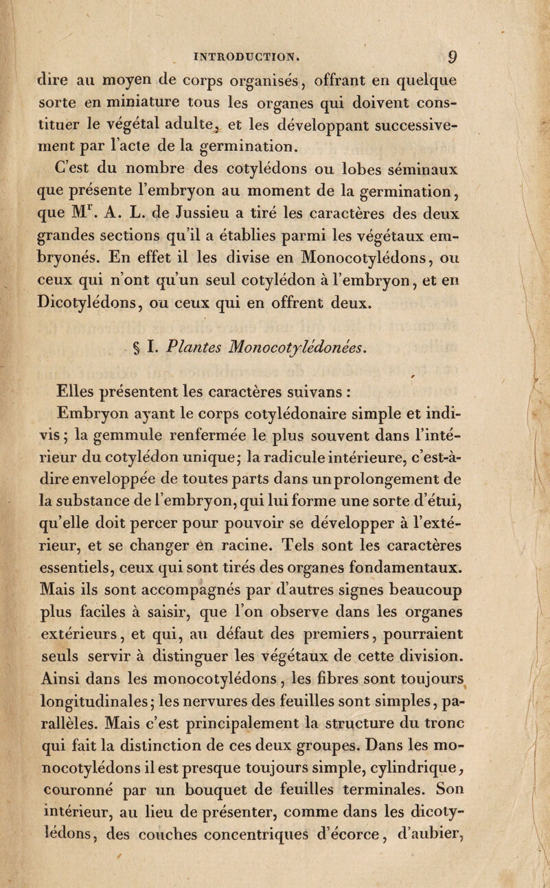 dire au moyen de corps organises, offrant en quelque sorte en miniature tous les organes qui doivent cons¬ tituer le végétal adulte^ et les développant successive¬ ment par l’acte de la germination. C’est du nombre des cotylédons ou lobes séminaux que présente l’embryon au moment de la germination, que A. L. de Jussieu a tiré les caractères des deux grandes sections qu’il a établies parmi les végétaux em- bryonés. En effet il les divise en Monocotylédons, ou ceux qui n’ont qu’un seul cotylédon à l’embryon, et en Dicotylédons, ou ceux qui en offrent deux. § I. Plantes MonocotyUdonées, Elles présentent les caractères suivans : Embryon ayant le corps cotylédonaire simple et indi¬ vis ; la gemmule renfermée le plus souvent dans l’inté- rieUr du cotylédon unique; la radicule intérieure, c’est-à- dire enveloppée de toutes parts dans un prolongement de la substance de l’embryon, qui lui forme une sorte d’étui, qu’elle doit percer pour pouvoir se développer à l’exté¬ rieur, et se changer en racine. Tels sont les caractères essentiels, ceux qui sont tirés des organes fondamentaux. Mais ils sont accompagnés par d’autres signes beaucoup plus faciles à saisir, que l’on observe dans les organes extérieurs, et qui, au défaut des premiers, pourraient seuls servir à distinguer les végétaux de cette division. Ainsi dans les monocotylédons , les fibres sont toujours longitudinales; les nervures des feuilles sont simples, pa¬ rallèles. Mais c’est principalement la structure du tronc qui fait la distinction de ces deux groupes. Dans les mo¬ nocotylédons il est presque toujours simple, cylindrique, couronné par un bouquet de feuilles terminales. Son intérieur, au lieu de présenter, comme dans les dicoty¬ lédons, des couches concentriques d’écorce, d’aubier.