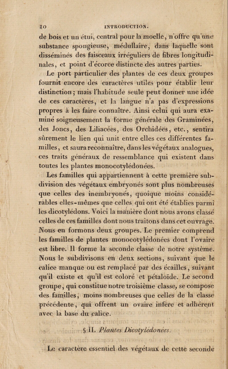 de bois et un étui, central pour la moelle, n’offre qu’une substance spongieuse, médullaire, dans laquelle sont disséminés des faisceaux irréguliers de fibres longitudi¬ nales, et point d’écorce distincte des autres parties. Le port particulier des plantes de ces deux groupes fournit encore des caractères utiles pour établir leur distinction ; mais l’habitude seule peut donner une idée de ces caractères, et la langue n’a pas d’expressions propres à les faire connaître. Ainsi celui qui aura exa¬ miné soigneusement la forme générale des Graminées, des Joncs, des Liliacées, des Orchidées, etc., sentira sûrement le lien qui unit entre elles ces différentes fa¬ milles, et saura reconnaître, dans les végétaux analogues, ces traits généraux de ressemblance qui existent dans toutes les plantes monocotylédonées. Les familles qui appartiennent à cette première sub¬ division des végétaux embryonés sont plus nombreuses que celles des in embryonés, quoique moins considé¬ rables elles-mêmes que celles qui ont été établies parmi les dicotylédons. Voici la manière dont nous avons classé celles de ces familles dont nous traitons dans cet ouvrage. Nous en formons deux groupes. Le premier comprend les familles de plantes monocotylédonées dont l’ovaire est libre. Il forme la seconde classe de notre système. Nous le subdivisons en deux sections, suivant que le calice manque ou est remplacé par des écailles, suivant qu’il existe et qu’il est coloré et pétaloïde. Le second groupe, qui constitue notre troisième classe, se compose des familles, moins nombreuses que celles de la classe précédente, qui offrent un ovaire infère et adhérent avec la base du calice. , § IL Plantes Dicotylédonées, Le caractère essentiel des végétaux de cette seconde