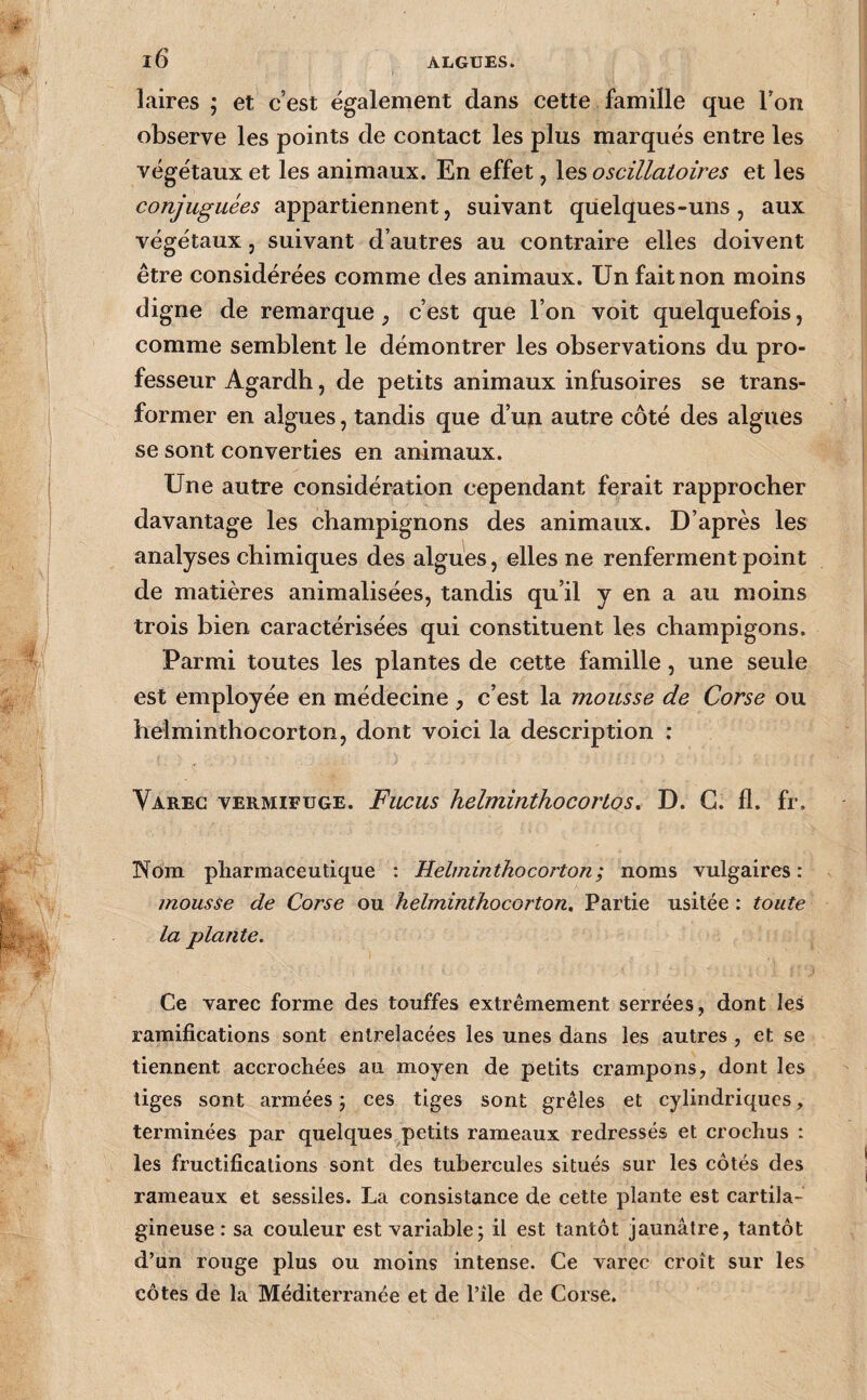 laires ; et c’est également dans cette famille que l’on observe les points de contact les plus marqués entre les végétaux et les animaux. En effet, les oscillatoires et les conjuguées appartiennent, suivant quelques-uns, aux végétaux, suivant d’autres au contraire elles doivent être considérées comme des animaux. Un fait non moins digne de remarque, c’est que l’on voit quelquefois, comme semblent le démontrer les observations du pro¬ fesseur Agardh, de petits animaux infusoires se trans¬ former en algues, tandis que d’uji autre côté des algues se sont converties en animaux. Une autre considération cependant ferait rapprocher davantage les champignons des animaux. D’après les analyses chimiques des algues, elles ne renferment point de matières animalisées, tandis qu’il y en a au moins trois bien caractérisées qui constituent les champigons. Parmi toutes les plantes de cette famille, une seule est employée en médecine , c’est la mousse de Corse ou helminthocorton, dont voici la description : Varec vermifuge. Fucus helminthocortos, D. C. £1. fr. Nom pharmaceutique : Helminthocorton; noms vulgaires: mousse de Corse ou helminthocorton» Partie usitée : toute la plante. Ce varec forme des touffes extrêmement serrées, dont leS ramifications sont entrelacées les unes dans les autres , et se tiennent accrochées au moyen de petits crampons, dont les liges sont armées j ces tiges sont grêles et cylindriques, terminées par quelques petits rameaux redressés et crochus : les fructifications sont des tubercules situés sur les côtés des rameaux et sessiles. La consistance de cette plante est cartila¬ gineuse : sa couleur est variable; il est tantôt jaunâtre, tantôt d’un rouge plus ou moins intense. Ce varec croît sur les côtes de la Méditerranée et de Pile de Corse.