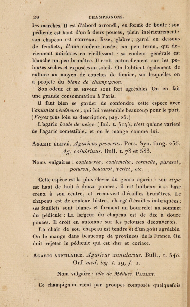 les marchés. Il est d’abord arrondi, en forme de boule : son pédicule est haut d’un à deux pouces, plein intérieurement : son chapeau est convexe, lisse, glabre, garni en dessous de feuillets, d’une couleur rosée, un peu terne, qui de¬ viennent noirâtres en vieillissant : sa couleur générale est blanche un peu brunâtre. Il croît naturellement sur les pe¬ louses sèches et exposées au soleil. On l’obtient également de culture au moyen de couches de fumier, sur lesquelles on a projeté du blanc de^ champignon. Son odeur et sa saveur sont fort agréables. On en fait une grande cousommation à Paris. Il faut bien se garder de confondre cette espèce avec Vamanite vénéneuse, qui lui ressemble beaucoup pour le port. (^Voyez plus loin sa description, pag. 26.) L’agaric boule de neige (Bul. t. 514)5 n’est qu’une variété de l’agaric comestible, et on le mange comme lui. Agaric élevé. Agaricus procerus. P ers. Syn. fung. ^56. Âg. colubrinus. Bull. t. y8 et 583. Noms vulgaires : couleuvrée, coulemelle., cormelle, parasol, poturon, boutarot, vertet, etc. Cette espèce est la plus élevée du genre agaric : son stipe est haut de huit à douze pouces , il est bulbeux à sa base creux à son centre, et recouvert d’écailles brunâtres. Le chapeau est de couleur bistre, chargé d’écailles imbriquées ; ses feuillets sont blancs et forment un bourrelet au sommet du pédicule : La largeur du chapeau est de dix à douze pouces. Il croît en automne sur les pelouses découvertes. La chair de son chapeau est tendre èt d’un goût agréable. On le mange dans beaucoup de provinces de la France. On doit rejeter le pédicule qui est dur et coriace. - Agaric annulaire. Agaricus annularius. Bull., t. 54o. Orf. med. leg. t. i. Nom vulgaire : tête de Méduse. Pâulet. Ce champignon vient par groupes composés quelquefois