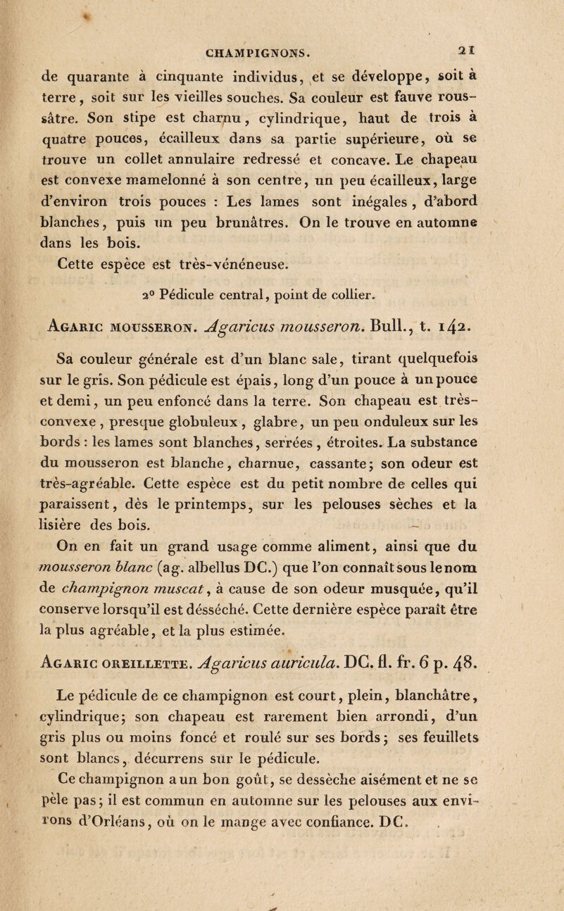 de quarante à cinquante individus, ^et se développe, soit à terre, soit sur les vieilles souches. Sa couleur est fauve rous- sâtre. Son slipe est charqu, cylindrique, haut de trois à quatre pouces, écailleux dans sa partie supérieure, où se trouve un collet annulaire redressé et concave. Le chapeau est convexe mamelonné à son centre, un peu écailleux, large d’environ trois pouces : Les lames sont inégales , d’abord blanches, puis un peu brunâtres. On le trouve en automne dans les bois. Cette espèce est très-vénéneuse. 2° Pédicule central, point de collier. Agaric mousseron. Agaricus mousseron. Bull., t. 142. Sa couleur générale est d’un blanc sale, tirant quelquefois sur le gris. Son pédicule est épais, long d’un pouce à un pouce et demi, un peu enfoncé dans la terre. Son chapeau est très- convexe , presque globuleux , glabre, un peu onduleux sur les bords : les lames sont blanches, serrées , étroites. La substance du mousseron est blanche, charnue, cassante; son odeur est très-agréable. Cette espèce est du petit nombre de celles qui paraissent, dès le printemps, sur les pelouses sèches et la lisière des bois. - On en fait un grand usage comme aliment, ainsi que du mousseron hlanc (ag. albellus DC.) que l’on connaît sous le nom de champignon muscatà cause de son odeur musquée, qu’il conserve lorsqu’il est désséché. Cette dernière espèce paraît être la plus agréable, et la plus estimée. Agaric oreillette. Agaricus auricida. DG. fl. fr. 6 p. 48* Le pédicule de ce champignon est court, plein, blanchâtre, cylindrique; son chapeau est rarement bien arrondi, d’un gris plus ou moins foncé et roulé sur ses bords; ses feuillets sont blancs, décurrens sur le pédicule. Ce champignon a un bon goût, se dessèche aisément et ne se pèle pas ; il est commun en automne sur les pelouses aux envi¬ rons d’Orléans, où on le ipange avec confiance. DC.