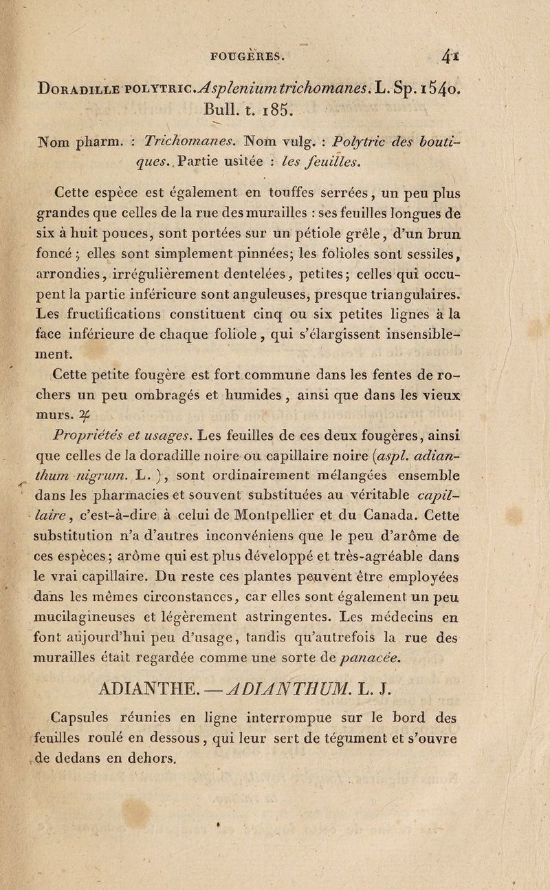J^o^KmiAÆ. vo'LY'Tmc.Aspleniumtrichomanes. L. Sp. i54o. Bull. t. i85. Nom pharm. ; Trichomanes. Nom vulg. : Polytric des houti- , Partie usitée : les feuilles. Cette espèce est également en touffes serrées, un peu plus grandes que celles de la rue des murailles : ses feuilles longues de six à huit pouces, sont portées sur un pétiole grêle, d’un brun foncé 5 elles sont simplement pinnées; les folioles sont sessiles, arrondies, irrégulièrement dentelées, petites; celles qui occu¬ pent la partie inférieure sont anguleuses, presque triangulaires. Les fructifications constituent cinq ou six petites lignes à la face inférieure de chaque foliole, qui s’élargissent insensible¬ ment. Cette petite fougère est fort commune dans les fentes de ro¬ chers un peu ombragés et humides , ainsi que dans les vieux murs, 'if Propriétés et usages. Les feuilles de ces deux fougères, ainsi que celles de la doradille noire ou capillaire noire {aspl. adian- thum nigrum. L. ), sont ordinairement mélangées ensemble dans les pharmacies et souvent Substituées au véritable capil¬ laire , c’est-à-dire à celui de Montpellier et du Canada. Cette substitution n’a d’autres inconvénieiis que le peu d’arôme de ces espèces; arôme qui est plus développé et très-agréable dans le vrai capillaire. Du reste ces plantes peuvent être employées dans les mêmes circonstances, car elles sont également un peu mucilagineuses et légèrement astringentes. Les médecins en font aujourd’hui peu d’usage, tandis qu’autrefois la rue des murailles était regardée comme une sorte de panacée. — ADÎAISTEÜM. L. J. Capsules réunies en ligne interrompue sur le bord des feuilles roulé en dessous , qui leur sert de tégument et s’ouvre ,de dedans en dehors.