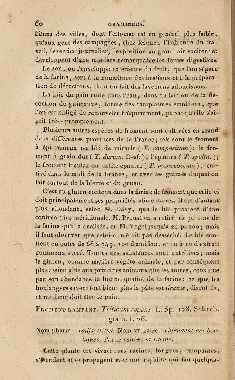 ( 6o GRAMINÉJES* bitans des villes, dont l’estomac est eh général plus faible, qu’aux gens des campagnes, chez lesquels l’habitude du tra¬ vail, l’exercice journalier, l’exposition au grand air excitent et développent d’i^ne manière remarquable les forces digestives. Le son, ou l’enveloppe extérieure du fruit, que l’on sépare de la farine, sert à îa nourriture des bestiaux et à la prépara¬ tion de décoctions, dont on fait des lavemens adoucissans. La mie du pain cuite dans l’eau, dans du lait ou de la dé¬ coction de guimauve , forme des cataplasmes émoliiens , que l’on est obligé de renouveler fréquemment, parce qu’elle s’ai¬ grit très-promptement. Plusieurs autres espèces de froment sont cultivées en grand dans différentes provinces de la France ; tels sont le froment à épi rameux ou blé de miracle ( T. cornpositum)', le fro¬ ment à grain dur ( T. durum^ Desf. ) ; l’épautre ( T, spelta. ) ; le froment locuîar ou petite épautre ( T. inonococcum^ , cul¬ tivé dans le midi de la France, et avec les graines duquel on fait surtout de la bierre et du gruau. C’est au gluten contenu dans la farine de froment que celle-ci doit principalement ses propriétés alimentaires. Il est d’autanP plus abondant, selon M. Davy, que le blé provient d’une contrée plus méridionale. M. Proust en a retiré 12 p. 100 de la farine qu’il a analisée, et M. Vogel jusqu’à 24 p. 100; mais il faut observer que celui-ci n’était pas desséché. Le blé con- tient en outre de 68 à 74 p. 100 d’amidon, et 10 à 12 d’extrait gommeux sucré. Toutes ces substances sont nutritives; mais le gluten, comme matière végéto-animale, et par conséquent plus assimilable aux principes animaux que les autres, constitue par son abondance la bonne qualité de la farine; ce que les boulangers savent fort bien: plus la pâte tirante, disent-ils, et meilleur doit être le pain. F’roment RiMPÂîVT. Triticumrepens. L. Sp. 128. Scbreb. grain, t. 26. Nom pharm. ; radix triticL Nom vulgaire : chiendent des bou¬ tiques. Partie usitée : la racine. Celte plante est vivace; ses racines, longues, rampantes, s’étendent et se propagent ai^'ec une japldité ([ui fait quelque-