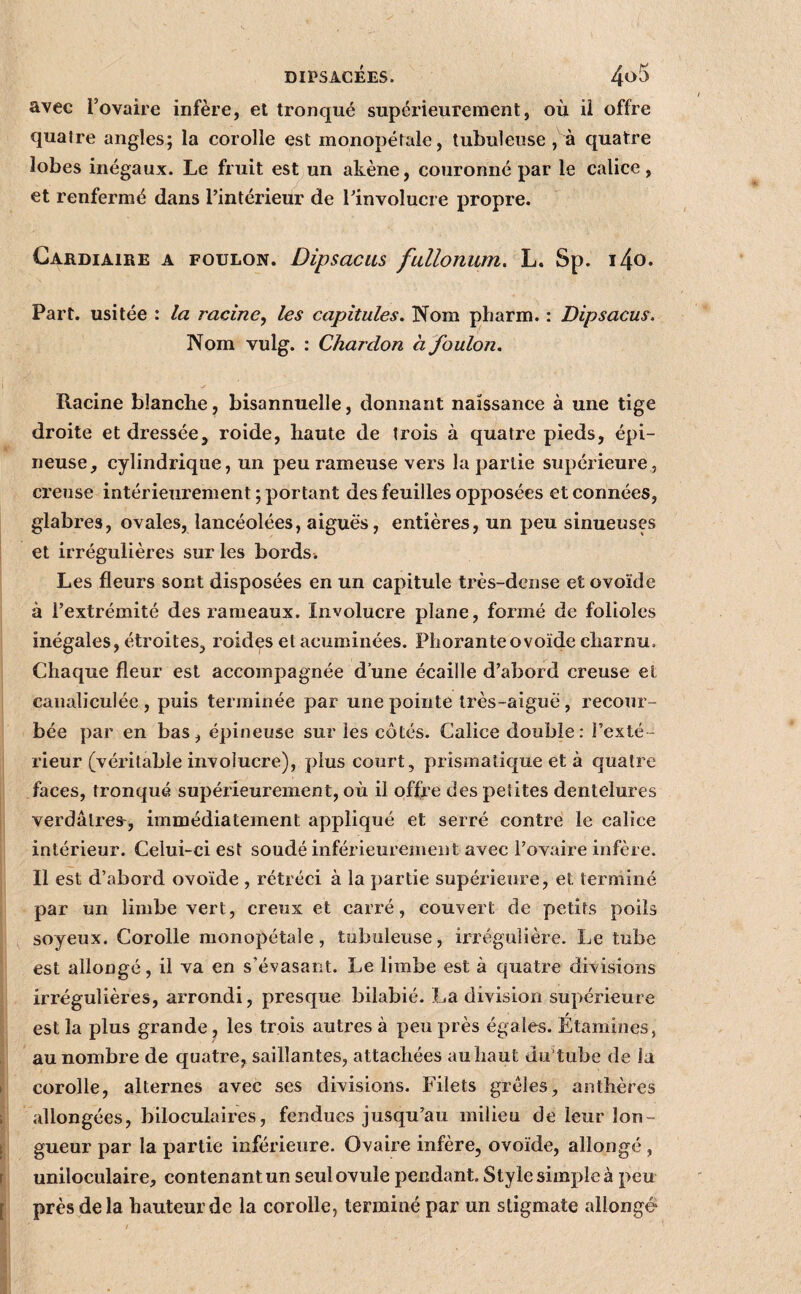 DIPSACÉES. 4^5 avec l’ovaire infère, et tronqué supérieurement, où il offre quatre angles; la corolle est monopéfale, tubuleuse , à quatre lobes inégaux. Le fruit est un akène, couronné par le calice, et renfermé dans l’intérieur de l’involucre propre. Gardiaire a foulon. Dipsacus fullonum. L. Sp. i4o. Part, usitée : la racine^ les capitules. Nom pharm. : Dipsacus. Nom vulg. : Chardon à foulon. Racine blanche, bisannuelle, donnant naissance à une tige droite et dressée, roide, haute de trois à quatre pieds, épi¬ neuse, cylindrique, un peu rameuse vers la partie supérieure, creuse intérieurement ; portant des feuilles opposées et connées, glabres, ovales, lancéolées, aiguës, entières, un peu sinueuses et irrégulières sur les bords. Les fleurs sont disposées en un capitule très-dense et ovoïde à l’extrémité des l’araeaux. Involucre plane, formé de folioles inégales, étroites, roides et acuminées. Pliorante ovoïde charnu. Chaque fleur est accompagnée d’une écaille d’abord creuse et caiialiculée , puis terminée par une pointe très-aiguë, recour¬ bée par en bas, épineuse sur les côtés. Calice double: l’exté¬ rieur (véritable involucre), plus court, prismatique et à quatre faces, tronqué supérieurement, où il offi’e des petites dentelures verdâtres-, immédiatement appliqué et serré contré le calice intérieur. Celui-ci est soudé inférieurement avec l’ovaire infère. Il est d’abord ovoïde , rétréci à la partie supérieure, et terminé par un limbe vert, creux et carré, couvert de petits poils soyeux. Corolle monopétale, tubuleuse, irrégulière. Le tube est allongé, il va en s’évasant. Le limbe est à quatre divisions irrégulières, arrondi, presque bilabié. La division supérieure est la plus grande, les trois autres à peu près égales. Étamines, au nombre de quatre, saillantes, attachées au haut du'tube de la corolle, alternes avec ses divisions. Filets grêles, anthères allongées, biloculaires, fendues jusqu’au milieu de leur lon¬ gueur par la partie inférieure. Ovaire infère, ovoïde, allongé , uniloculaire, contenant un seul ovule pendant. Style simple à peu près de la hauteur de la corolle, terminé par un stigmate allongé*