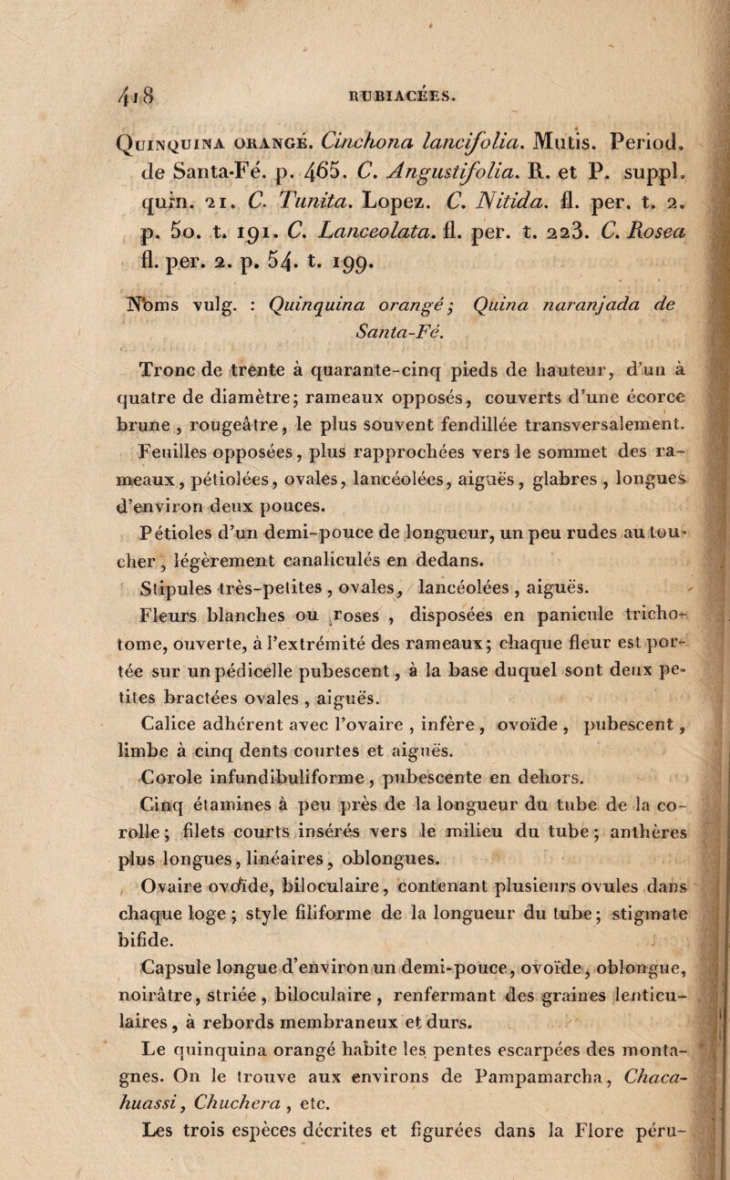 4 Quinquina orangé. Cinchona lancifolia. Mutis. Period, de Santa-Fé. p. 4^*5. C, Angmtifolia. R. et P. suppl, qum. *21, C Tunita, Lopez. C. Nitida. fl. per. t. 2. p. 5o. t. 191. C. Lanceolata, per. î. 223. C.Rosea À fl. per. 2. p. 54. t. 199. i ;■« N*oms Nulg. : Quinquina orangé-, Quina naranjada de | Santa-Fé. r\ Tronc de trente à quarante-cinq pieds de hauteur, d’un à quatre de diamètre; rameaux opposés, couverts d’une écorce brune , rougeâtre , le plus souvent fendillée transversalement. Feuilles opposées, plus rapprochées vers le sommet des ra- \ nteaux, pétiolées, ovales, lancéolées, aiguës, glabres , longues , d’environ deux pouces. Pétioles d’un demi-pouce de longueur, un peu rudes au tou* cher, légèrement canaliculés en dedans. : Stipules très-petites , ovales, lancéolées , aiguës. Fleurs blanches ou roses , disposées en panicule tricho- tome, ouverte, à l’extrémité des rameaux; chaque fleur est por¬ tée sur unpédicelle pubescent, à la base duquel sont deux pe¬ tites bractées ovales , aiguës. Calice adhérent avec l’ovaire , infère , ovoïde , pubescent, ' limbe à cinq dents courtes et aiguës. Corole infundibuliforme, pubescente en dehors. ' Cinq étamines à peu près de la longueur du tube de la co¬ rolle ; filets courts insérés vers le milieu du tube ; anthères ï plus longues, linéaires, oblongues. | , Ovaire ov(fïde, biloculaire, contenant plusieurs ovules dans | chaque loge ; style filiforme de la longueur du tube; stigmate | bifide. | Capsule longue d’environ un demi-pouce, ovoïde j oblongue, J noirâtre, striée , biloculaire , renfermant des graines lenticu- - laires, à rebords membraneux et durs. Le quinquina orangé habite les pentes escarpées des monta- gnes. On le trouve aux environs de Pampamarcha, Chaca- huas si, Chuchera y etc. . c ■ Les trois espèces décrites et figurées dans la Flore péru- |