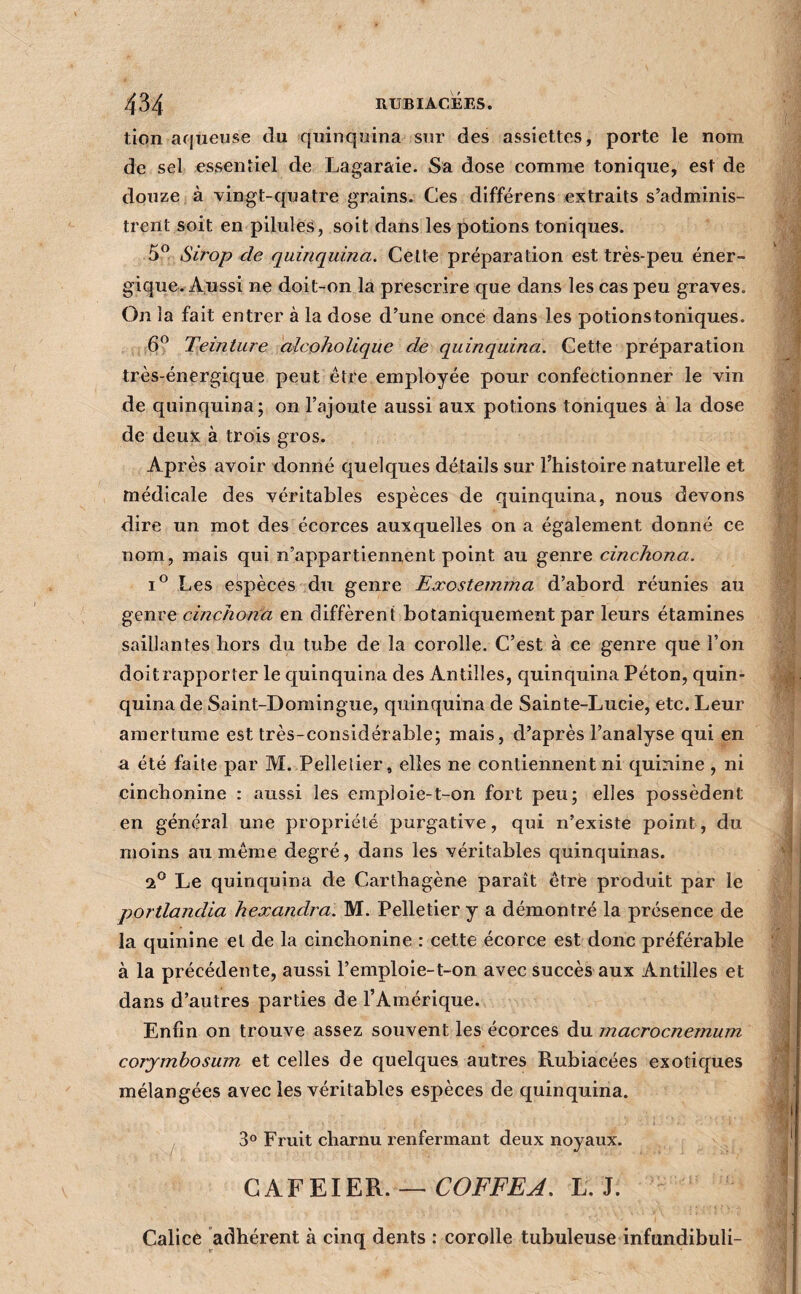 tion arjueuse du quinquina sur des assiettes, porte le nom de sel essentiel de Lagaraie. Sa dose comme tonique, est de douze à vingt-quatre grains. Ces différens extraits s’adminis¬ trent soit en pilules, soit dans les potions toniques. 5” Sirop de quinquina. Celte préparation est très-peu éner¬ gique. Aussi ne doit-on la prescrire que dans les cas peu graves. On la fait entrer à la dose d’une once dans les potionstoniques. 6^ Teinture aîcoholique de quinquina. Cette préparation très-énergique peut être employée pour confectionner le vin de quinquina; on l’ajoute aussi aux potions toniques à la dose de deux à trois gros. Après avoir donné quelques détails sur l’histoire naturelle et médicale des véritables espèces de quinquina, nous devons dire un mot des écorces auxquelles on a également donné ce nom, mais qui n’appartienn,ent point au genre cinchona. I® Les espèces du genre Exostemma d’abord réunies au genre cinchond en diffèrent botaniquement par leurs étamines saillantes hors du tube de la corolle. C’est à ce genre que l’on doitrapporter le quinquina des Antilles, quinquina Péton, quin¬ quina de Saint-Domingue, quinquina de Sainte-Lucie, etc. Leur amertume est très-considérable; mais, d’après l’analyse qui en a été faite par M. Pelletier, elles ne contiennent ni quinine , ni cinchonine : aussi les emploie-t-on fort peu; elles possèdent en général une propriété purgative, qui n’existe point, du moins au même degré, dans les véritables quinquinas. 2® Le quinquina de Carthagène paraît être produit par le portlandia hexandra. M. Pelletier y a démontré la présence de la quinine et de la cinchonine : cette écorce est donc préférable à la précédente, aussi l’emploie-t-on avec succès aux Antilles et dans d’autres parties de l’Amérique. Enfin on trouve assez souvent les écorces du rnacroenemum corjmhosum, et celles de quelques autres Rubiacées exotiques mélangées avec les véritables espèces de quinquina. 3® Fruit charnu renfermant deux noyaux. CAFEIER.— L. J. Calice 'adhérent à cinq dents : corolle tubuleuse infundibuli-