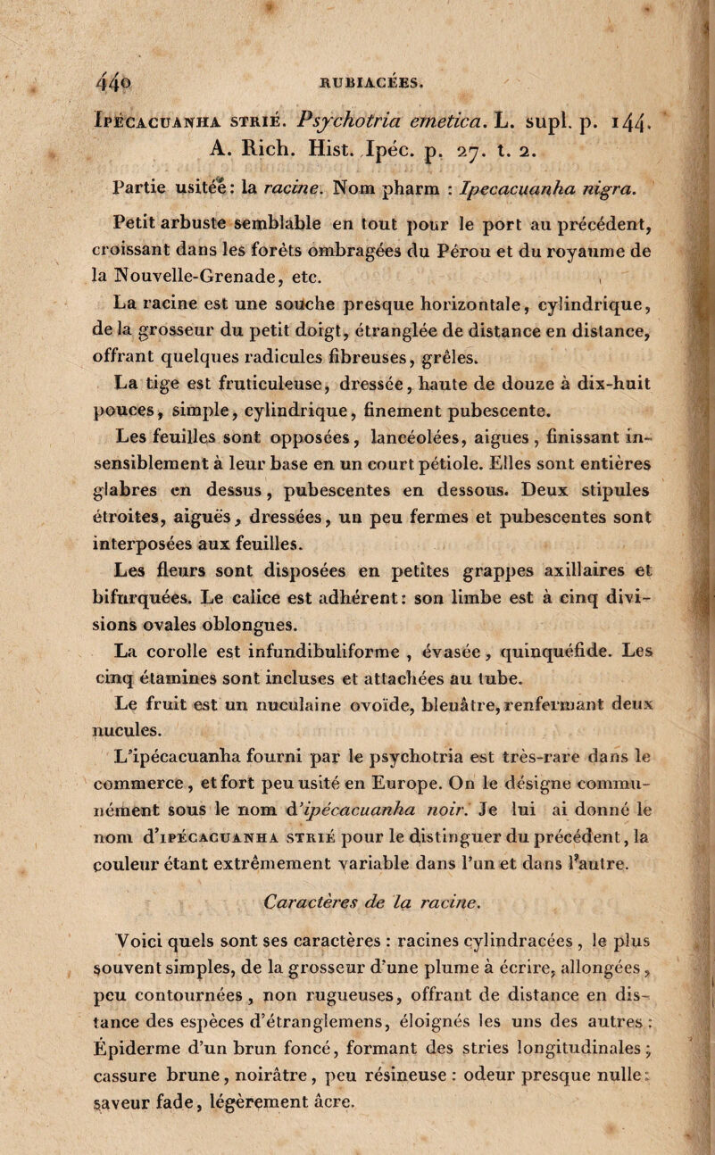 44o RUBIACÉES. Ipécacüanha strié. Psychotria emetica. L. supl. p. i44‘ A. Rich. Hist. Ipéc. p, 2^. t. 2. Partie usitée; la racine. Nom pharm : Ipecacuanha nigra. Petit arbuste semblable en tout pour le port au précédent, croissant dans les forêts ombragées du Pérou et du royaume de la Nouvelle-Grenade, etc. , La racine est une soiiche presque horizontale, cylindrique, de la grosseur du petit doigt, étranglée de distance en distance, offrant quelques radicules fibreuses, grêles. La tige est fruticuleuse, dressée, haute de douze à dix-huit pouces, simple, cylindrique, finement pubescente. Les feuilles sont opposées, lancéolées, aigues , finissant in¬ sensiblement à leur base en un court pétiole. Elles sont entières glabres en dessus, pubescentes en dessous. Deux stipules étroites, aiguës, dressées, un peu fermes et pubescentes sont interposées aux feuilles. Les fleurs sont disposées en petites grappes axillaires et bifiirquées. Le calice est adhérent: son limbe est à cinq divi¬ sions ovales oblongues. La corolle est infundibuliforme , évasée, quinquéfide. Les cinq étamines sont incluses et attachées au tube. Le fruit est un nueulaine ovoïde, bleuâtre, renfermant deux nucules. L’ipécacuanha fourni par le psychotria est très-rare dans le commerce , et fort peu usité en Europe. On le désigne commu¬ nément sous le nom à’ipécacuanha noiri Je lui ai donné le nom d’iPÉCACüANHA STRIÉ pour le distinguer du précédent, la couleur étant extrêmement variable dans l’un et dans l^autre. Caractèj'es de la racine. Voici quels sont ses caractères : racines cylindracées , le plus souvent simples, de la grosseur d’une plume à écrire, allongées, peu contournées, non rugueuses, offrant de distance en dis-^ tance des espèces d’étranglemens, éloignés les uns des autres: Épiderme d’un brun foncé, formant des stries longitudinales j cassure brune, noirâtre, peu résineuse : odeur presque nulle ; saveur fade, légèrement âcre.