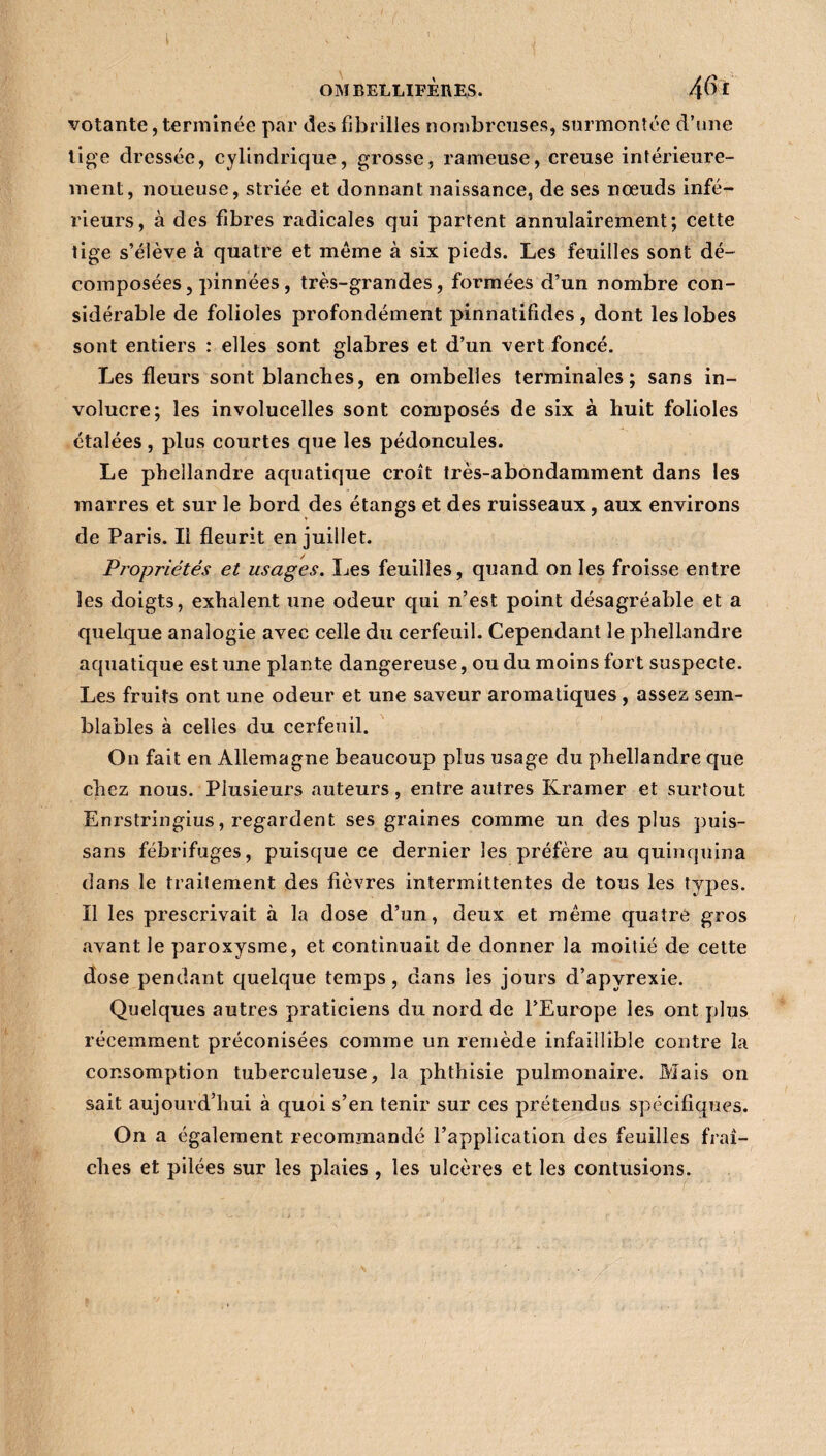 votante, terminée par des fibrilles nombreuses, surmontée d’une tige dressée, cylindrique, grosse, rameuse, creuse intérieure¬ ment, noueuse, striée et donnant naissance, de ses nœuds infé¬ rieurs, à des fibres radicales qui partent annulairement; cette tige s’élève à quatre et même à six pieds. Les feuilles sont dé¬ composées, pinnées, très-grandes, formées d’un nombre con¬ sidérable de folioles profondément pinnatifides , dont les lobes sont entiers : elles sont glabres et d’un vert foncé. Les fleurs sont blanches, en ombelles terminales; sans in- volucre; les involucelles sont composés de six à huit folioles étalées, plus courtes que les pédoncules. Le phellandre aquatique croît très-abondamment dans les marres et sur le bord des étangs et des ruisseaux, aux environs de Paris. Il fleurit en juillet. Pi'opriétés et usages. Les feuilles, quand on les froisse entre les doigts, exhalent une odeur qui n’est point désagréable et a quelque analogie avec celle du cerfeuil. Cependant le phellandre aquatique est une plante dangereuse, ou du moins fort suspecte. Les fruits ont une odeur et une saveur aromatiques , assez sem¬ blables à celles du cerfeuil. On fait en Allemagne beaucoup plus usage du phellandre que chez nous. Plusieurs auteurs, entre autres Kramer et surtout Enrstringius, regardent ses graines comme un des plus puis- sans fébrifuges, puisque ce dernier les préfère au quinquina dans le traitement des fièvres intermittentes de tous les types. Il les prescrivait à la dose d’un, deux et même quatre gros avant le paroxysme, et continuait de donner la moitié de cette dose pendant quelque temps, dans les jours d’apyrexie. Quelques autres praticiens du nord de l’Europe les ont plus récemment préconisées comme un remède infaillible contre la consomption tuberculeuse, la phthisie pulmonaire. Mais on sait aujourd’hui à quoi s’en tenir sur ces prétendus spécifiques. On a également recommandé l’application des feuilles fraî¬ ches et pilées sur les plaies , les ulcères et les contusions.