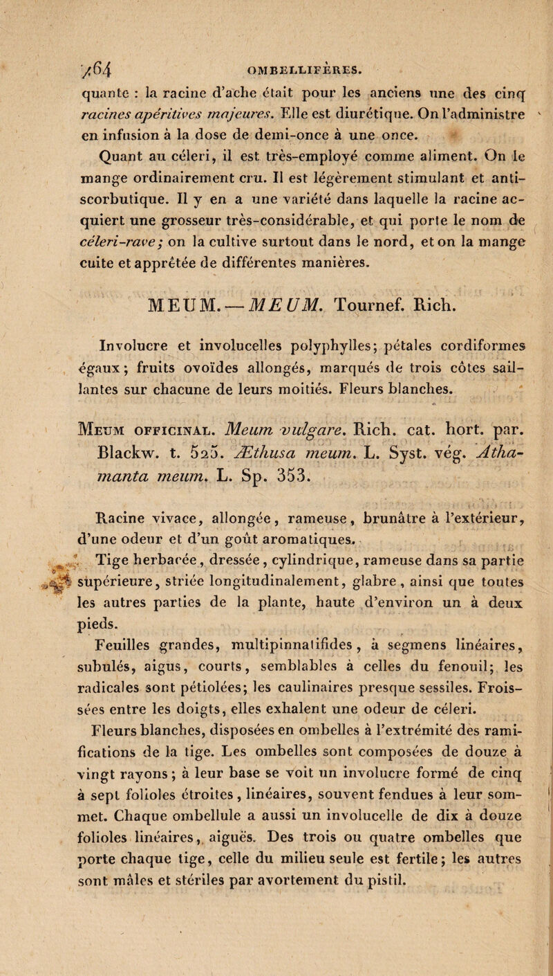 ’/6 4 OMBELLIFERES. quan te : la racine d’ache était pour les anciens une des cinq racines apéritives majeures. Elle est diurétique. On l’administre en infusion à la dose de demi-once à une once. Quant au céleri, il est très-employé comme aliment. On le mange ordinairement cru. Il est légèrement stimulant et anti¬ scorbutique. Il y en a une variété dans laquelle la racine ac¬ quiert une grosseur très-considérable, et qui porte le nom de céleri-rave ; on la cultive surtout dans le nord, et on la mange cuite et apprêtée de différentes manières. MEUM. — MEUM. Tournef. Rich. Involucre et involucelles polyphylles; pétales cordiformes égaux; fruits ovoïdes allongés, marqués de trois côtes sail¬ lantes sur chacune de leurs moitiés. Fleurs blanches. Met;vi officinal. Meum vulgare. Rich. cat. hort. par. Blackw. t. 520. Æthusa meum. L. Syst. vég. Atha- manta meum. L. Sp. 353. Racine vivace, allongée, rameuse, brunâtre à l’extérieur, d’une odeur et d’un goût aromatiques. Tige herbacée, dressée, cylindrique, rameuse dans sa partie 1^1 supérieure, striée longitudinalement, glabre , ainsi que toutes les autres parties de la plante, haute d’environ un à deux pieds. Feuilles grandes, multipinnatifides , à segmens linéaires, subulés, aigus, courts, semblables à celles du fenouil; les radicales sont pétiolées; les caulinaires presque sessiles. Frois¬ sées entre les doigts, elles exhalent une odeur de céleri. Fleurs blanches, disposées en ombelles à l’extrémité des rami¬ fications de la tige. Les ombelles sont composées de douze à vingt rayons ; à leur base se voit un involucre formé de cinq à sept folioles étroites , linéaires, souvent fendues à leur som¬ met. Chaque ombellule a aussi un involucelle de dix à douze folioles linéaires, aiguës. Des trois ou quatre ombelles que porte chaque tige, celle du milieu seule est fertile ; les autres sont mâles et stériles par avortement du pistil.