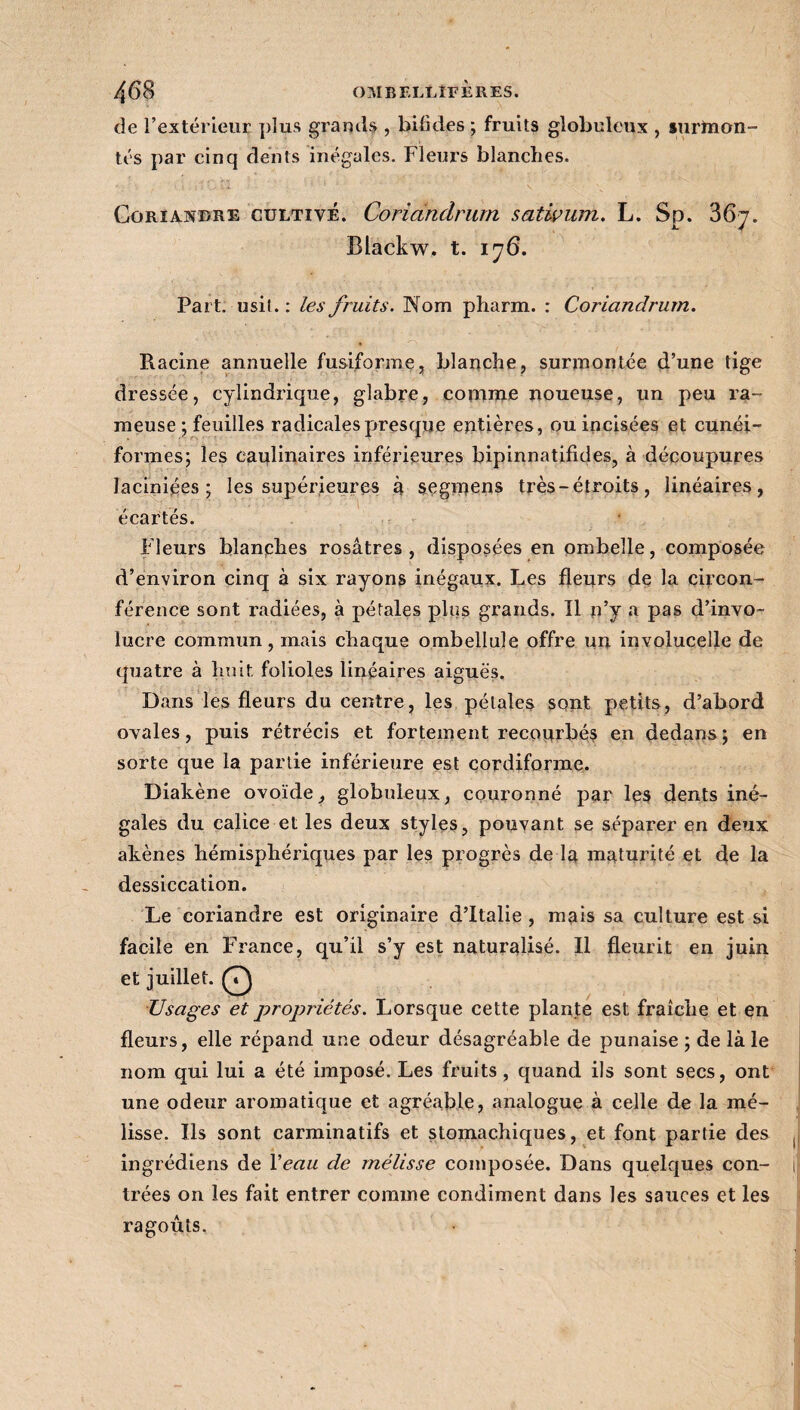 de l’extérieur plus grands , bifides ; fruits globuleux , suriuon- tés par cinq dents inégales. Fleurs blanches. i j ' jf y • /. ' 'H T-'-’ ; '* •■■■*;' / ■' * •* _ • - Coriandre cultivé. Coriandrum satwum. L. Sp. 36y. Blackw. t. 176. Part, usit.: les fruits. Nom pharm. : Coriandrum. Racine annuelle fusiforme, blanche, surmontée d’une tige dressée, cylindrique, glabre, comme noueuse, un peu ra¬ meuse ; feuilles radicales presque entières, ou incisées et cunéi¬ formes; les eaulinaires inférieures bipinnatifides, à découpures laciniées ; les supérieures à segmens très-étroits, linéaires, écartés. Fleurs blanches rosâtres , disposées en ombelle, composée d’environ cinq à six rayons inégaux. Les fleurs de la circon¬ férence sont radiées, à pétales plus grands. Il n’y a pas d’invo- lucre commun, mais chaque ombellule offre un involucelle de quatre à huit folioles linéaires aiguës. Dans les fleurs du centre, les pétales sont petits, d’abord ovales, puis rétrécis et fortement recourbé? en dedans; en sorte que la partie inférieure est cordiforme. Diakène ovoïdeglobuleux, couronné par les dents iné¬ gales du calice et les deux styles, pouvant se séparer en de?ix akènes hémisphériques par les progrès de la maturité et de la dessiccation. Le coriandre est originaire d’Italie , mais sa culture est si facile en France, qu’il s’y est naturalisé. Il fleurit en juin Usages et propriétés. Lorsque cette plante est fraîche et en fleurs, elle répand une odeur désagréable de punaise ; de là le nom qui lui a été imposé. Les fruits, quand ils sont secs, ont une odeur aromatique et agréable, analogue à celle de la mé¬ lisse. Ils sont carminatifs et stomachiques, et font partie des ingrédiens de Veau de mélisse composée. Dans quelques con¬ trées on les fait entrer comme condiment dans les sauces et les ragoûts.