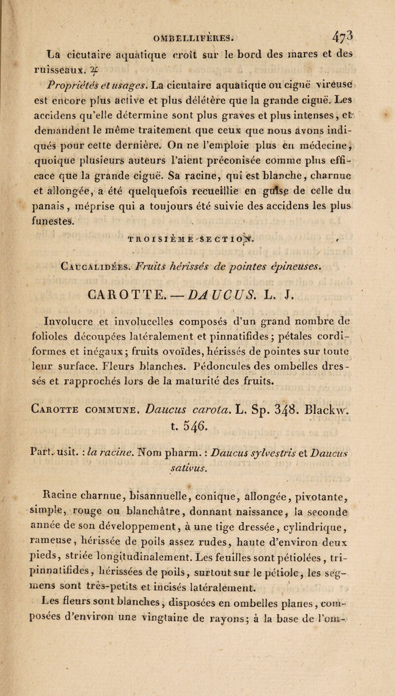 La cicutaire aquatique croît sur le bord des mares et des ruisseaux, if Propriétés et usages. La cicutaire aquatique ou ciguë vireuse est encore plus active et plus délétère que la grande ciguë. Les accidens qu’elle détermine sont plus graves et plus intenses, eP demandent le même traitement que ceux que nous avons indi¬ qués pour cette dernière. On ne l’emploie plus en médecine, quoique plusieurs auteurs l’aient préconisée comme plus effi¬ cace que la grande ciguë. Sa racine, qui est blanche, charnue et allongée, a été quelquefois recueillie en guise de celle du panais , méprise qui a toujours été suivie des accidens les plus funestes. TROISIÈMESECTI OpX. «■ a Caucalidées. Fruits hérissés de pointes épineuses. CAROTTE. — DAUCUS. L. J. i Involucre et involucelles composés d’un grand nombre de folioles découpées latéralement et pinnatifides ; pétales cordi- formes et inégaux; fruits ovoïdes, hérissés de pointes sur toute leur surface. Fleurs blanches. Pédoncules des ombelles dres¬ sés et rapprochés lors de la maturité des fruits. Carotte commune, Daucus carola. L, Sp. 348. Blackw. t. 546. Part. usit. : la racine. Nom pbarm. : Daucus sjlvestris et Daucus sativus. Racine charnue, bisannuelle, conique, allongée, pivotante, simple, rouge ou blanchâtre, donnant naissance# la seconde année de son développement, à une tige dressée, cylindrique, rameuse, hérissée de poils assez rudes, haute d’environ deux pieds, striée longitudinalement. Les feuilles sont pétiolées , tri- pinnatifides, hérissées de poils, surtout sur le pétiole, les seg- mens sont très-petits et incisés latéralement. Les fleurs sont blanches, disposées en ombelles planes, com¬ posées d’environ une vingtaine de rayons; à la base de l’orn- /