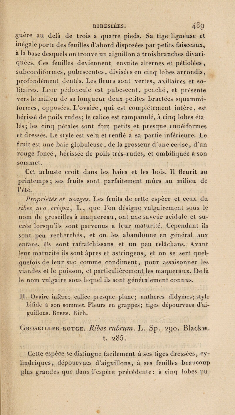 guère au delà de trois à quatre pieds. Sa tige ligneuse et inégale porte des feuilles d’abord disposées par petits faisceaux3 à la base desquels on trouve un aiguillon à trois branches divari- quées. Ces feuilles deviennent ensuite alternes et pétiolées , subcordiformes, pubescenles, divisées en cinq lobes arrondis, profondément dentés. Les fleurs sont vertes, axillaires et so¬ litaires. Leur pédoncule est pubescent, penché, et présente vers le milieu de sa longueur deux petites bractées squammi- formes, opposées. L’ovaire, qui est complètement infère, est hérissé de poils rudes; le calice est campanulé, à cinq lobes éta¬ lés; les cinq pétales sont fort petits et presque cunéiformes et dressés. Le style est velu et renflé à sa partie inférieure. Le fruit est une baie globuleuse, de la grosseur d’une cerise, d’un rouge foncé, hérissée de poils très-rudes, et ombiliquée à son sommet. Cet arbuste croît dans les haies et les bois. Il fleurit au printemps ; ses fruits sont parfaitement mûrs au milieu de l’été. Propriétés et usages. Les fruits de cette espèce et ceux du ribes uva crispa, L., que l’on désigne vulgairement sous le nom de groseilles à maquereau, ont une saveur acidulé et su¬ crée lorsqu’ils sont parvenus à leur maturité. Cependant ils sont peu recherchés, et on les abandonne en général aux enfans. Ils sont rafraîchissans et un peu relâchans. Avant leur maturité ils sont âpres et astringens, et on se sert quel¬ quefois de leur suc comme condiment,, pour assaisonner les viandes et le poisson, et particulièrement les maqueraux. Delà le nom vulgaire sous lequel ils sont généralement connus. II. Oyaire infère; calice presque plane; anthères didymes; style bifide à son sommet. Fleurs en grappes; tiges dépourvues d’ai¬ guillons. Ribes. Rich. Groseiller rouge. Ribes rubrum. L. Sp. 290. Blackw. t. 285. Cette espèce se distingue facilement à ses tiges dressées, cy¬ lindriques, dépourvues d’aiguillons, à ses feuilles beaucoup plus grandes que dans l’espèce précédente; à cinq lobes pu-