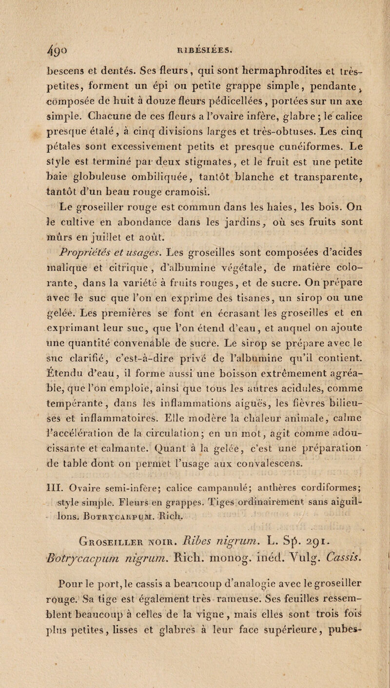 ÏUBÉSIÉES. 49° bescens et dentés. Ses fleurs, qui sont hermaphrodites et très- petites, forment un épi ou petite grappe simple, pendante > composée de huit à douze fleurs pédicellées , portées sur un axe simple. Chacune de ces fleurs a l’ovaire infère, glabre ; le calice presque étalé, à cinq divisions larges et très-obtuses. Les cinq pétales sont excessivement petits et presque cunéiformes. Le style est terminé par deux stigmates, et le fruit est une petite baie globuleuse ombiliquée, tantôt blanche et transparente, tantôt d’un beau rouge cramoisi. Le groseiller rouge est commun dans les haies, les bois. On le cultive en abondance dans les jardins, où ses fruits sont murs en juillet et août. Propriétés et usages. Les groseilles sont composées d’acides malique et citrique , d’albumine végétale, de matière colo¬ rante, dans la variété à fruits rouges, et de sucre. On prépare avec le suc que l’on en exprime des tisanes, un sirop ou une gelée. Les premières se font en écrasant les groseilles et en exprimant leur suc, que l’on étend d’eau, et auquel on ajoute une quantité convenable de sucre. Le sirop se prépare avec le suc clarifié, c’est-à-dire privé de l’albumine qu’il contient. Étendu d’eau, il forme aussi une boisson extrêmement agréa¬ ble, que l’on emploie, ainsi que tous les autres acidulés, comme tempérante, dans les inflammations aigues, les fièvres bilieu¬ ses et inflammatoires. Elle modère la chaleur animale, calme l’accélération de la circulaîion; en un mot, agit comme adou¬ cissante et calmante. Quant à la gelée, c’est une préparation de table dont on permet l’usage aux convalescens. III. Ovaire semi-infère; calice campanulé; anthères cordiformes; style simple. Fleurs en grappes. Tiges ordinairement sans aiguil¬ lons. Botrycarpum. Rich. Groseiller noir. Ribes nigrum. L. Sp. 291. Botrycacpum nigrum. Rich. monog. inéd. Vülg. Cassis. Pour le port, le cassis a beaucoup d’analogie avec le groseiller rouge. Sa tige est également très rameuse. Ses feuilles ressem¬ blent beaucoup à celles de la vigne , mais elles sont trois fois plus petites, lisses et glabres à leur face supérieure, pubes-