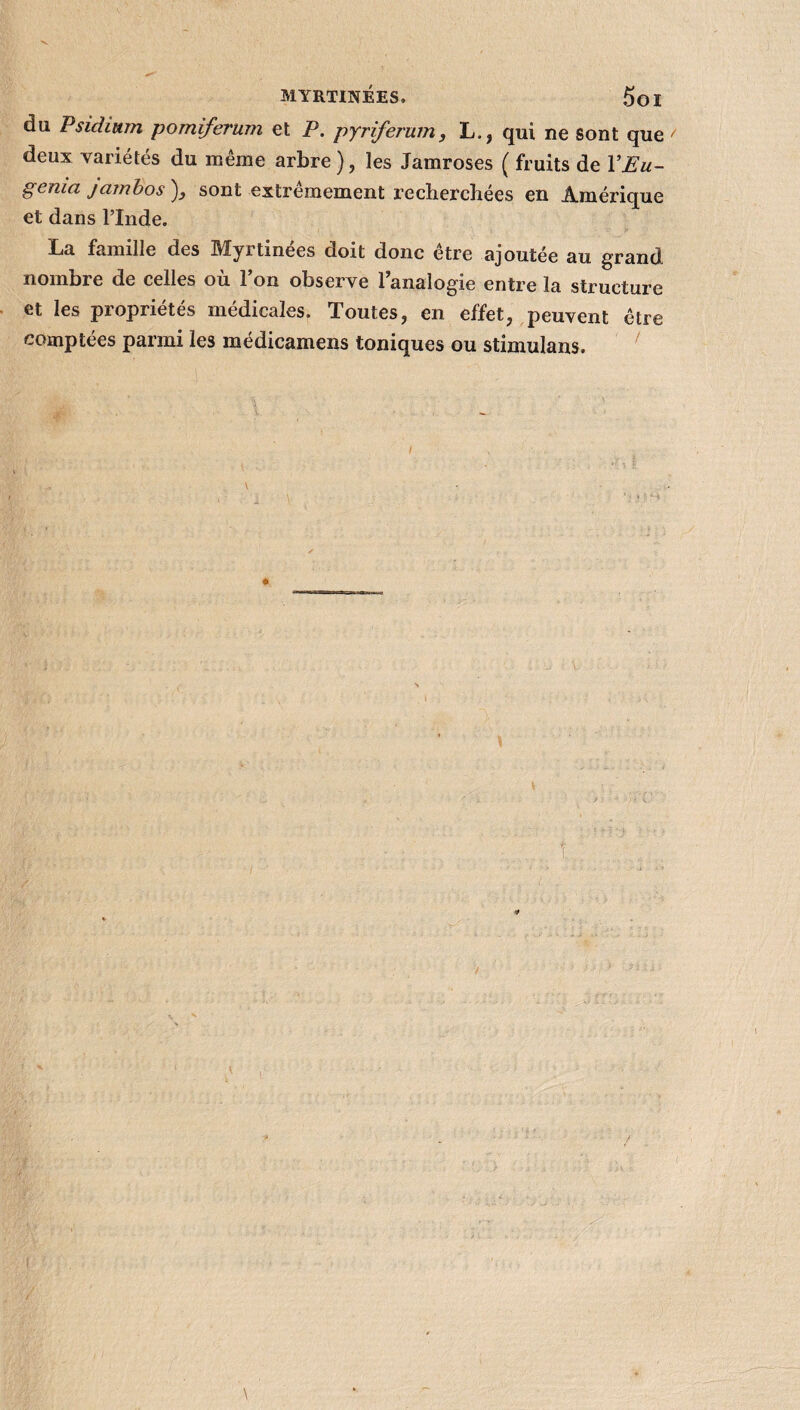 du Psidmm pomiferum et P. pyriferum, L., qui ne sont que ' deux variétés du même arbre ), les Jamroses ( fruits de l'Eu- genia jcimbos ), sont extrêmement recherchées en Amérique et dans l’Inde. La famille des Myrtinées doit donc être ajoutée au grand nombre de celles ou 1 on observe 1 analogie entre la structure et les propriétés médicales. Toutes, en effet, peuvent être comptées parmi les médicamens toniques ou stimulans. # î »■