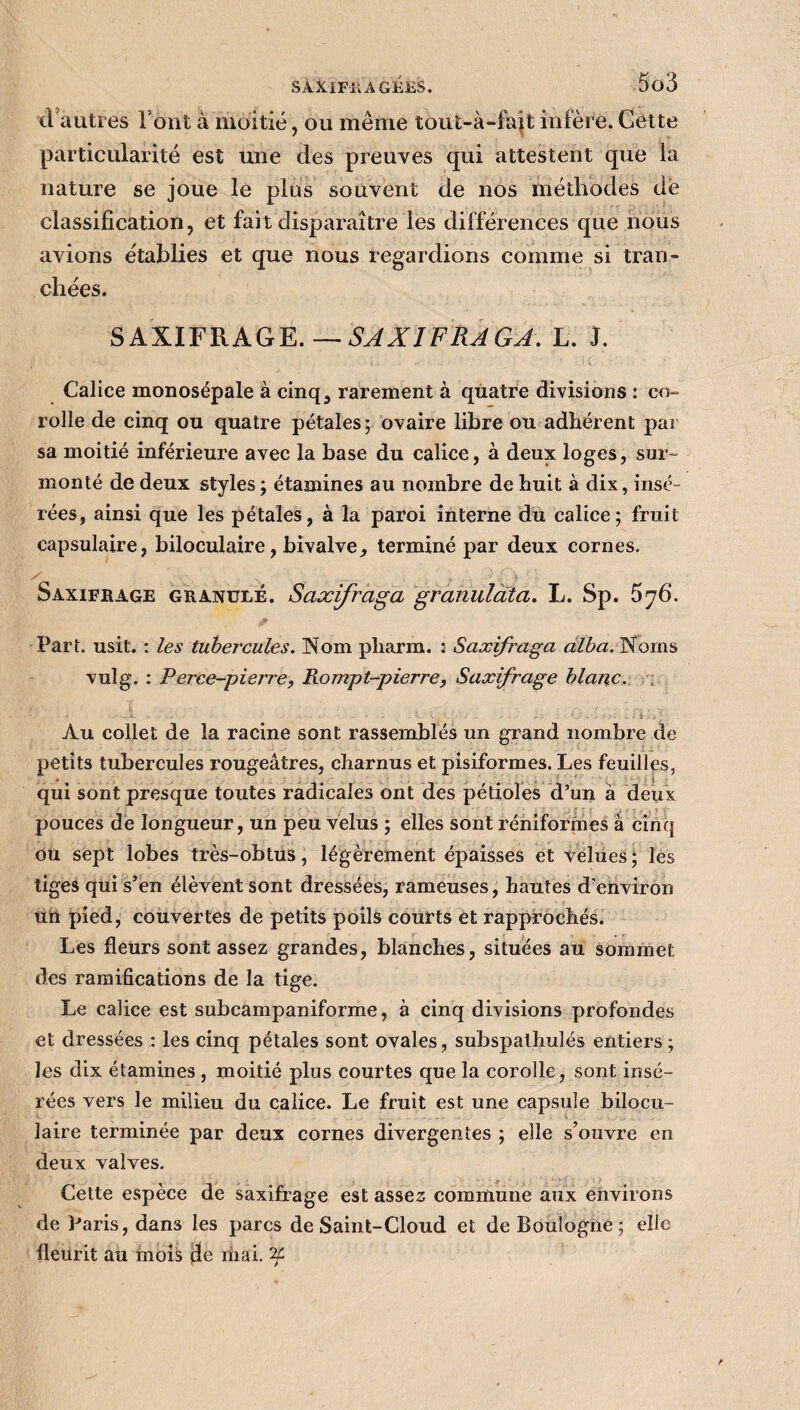 SÀXlFil AGEES. cl'autres l’ont à moitié, ou même tout-à-fiqt infère. Cette particularité est une des preuves qui attestent que la nature se joue le plus souvent de nos méthodes de classification, et fait disparaître les différences que nous avions établies et que nous regardions comme si tran¬ chées. SAXIFRAGE. — SAXIFRA GA. L. J. Calice monosépale à cinq, rarement à quatre divisions : co¬ rolle de cinq ou quatre pétales; ovaire libre ou adhérent par sa moitié inférieure avec la base du calice, à deux loges, sur¬ monté de deux styles ; étamines au nombre de huit à dix, insé¬ rées, ainsi que les pétales, à la paroi interne du calice; fruit capsulaire, biloculaire, bivalve, terminé par deux cornes. Saxifrage granulé. Saxifraga granulàta. L. Sp. 576. <9 Part. usil. : les tubercules. Nom pli arm. : Saxifraga alba. Noms vulg. : Perce-pierre, Rompt-pierre, Saxifrage blanc. -a - • - 3 i : Àu collet de la racine sont rassemblés un grand nombre de petits tubercules rougeâtres, charnus et pisiformes. Les feuilles, qui sont presque toutes radicales ont des pétioles d’un à deux pouces de longueur, un peu velus ; elles sont réniformes à cinq ou sept lobes très-obtus, légèrement épaisses et velues; les tiges qui s’en élèvent sont dressées, rameuses, hautes d’environ un pied, couvertes de petits poils courts et rapprochés. Les fleurs sont assez grandes, blanches, situées au sommet des ramifications de la tige. Le calice est subcampaniforme, à cinq divisions profondes et dressées : les cinq pétales sont ovales, subspalhulés entiers; les dix étamines , moitié plus courtes que la corolle, sont insé¬ rées vers le milieu du calice. Le fruit est une capsule bilocu¬ laire terminée par deux cornes divergentes ; elle s’ouvre en deux valves. Cette espèce de saxifrage est assez commune aux environs de Paris, dans les parcs de Saint-Cloud et de Boulogne; elle fleurit au mois de mai. 2c.
