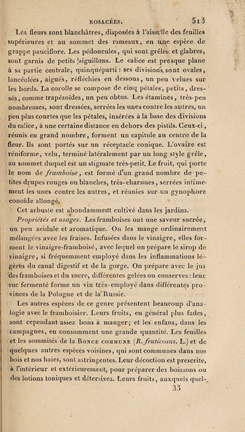 Lés fleurs sont blanchâtres, disposées à PaissClle des feuilles supérieures et au sommet des rameaux, en uqe espèce de grappe pauciflore. Les pédoncules, qui sont grêles- et glabres, sont garnis de petits ^aiguillons. Le calice est presque plane à sa partie centrale, quinqüéparti : ses divisionsxsont ovales, lancéolées, aiguës, réfléchies en dessous, un peu Velues sur les bords. La corolle se compose de cinq pétales', petits, dres¬ sés, comme trapézoïdes, un peu obtus. Les étamines, très-peu nombreuses, sont dressées, serrées les unes contre les autres, un peu plus courtes que les pétales, insérées à la base des divisions du calice, à une certaine distance en dehors des pistils. Ceux-ci, réunis en grand nombre, forment un capitule au centime de la fleur. Ils sont portés sur un réceptacle conique. L’ovaire est réniforme, velu, terminé latéralement par un long style grêle, au sommet duquel est un stigmate très-petit. Le fruit, qui porte le nom de framboise, est formé d’un grand nombre de pe¬ tites dpupes rouges ou blanches, très-charnues, serrées intime¬ ment les unes contre les autres, et réunies sur un gynoplnore conoïde allongé. Cet arbuste est abondammeiît cultivé dans les jardins. Propriétés et usages. Les framboises ont une saveur sucrée, un peu acidulé et aromatique. On les mange ordinairement mélangées avec les fraises. Infusées dans le vinaigre, elles for- i ment le vinaigre-framboisé, avec lequel on prépare le sirop de vinaigre, si fréquemment employé dans les inflammations lé¬ gères du canal digestif et de la gorge. On prépare avec le jus des framboises et du sucre, différentes gelées ou conserves : leur ; suc fermenté forme un vin très-employé dans différentes pro¬ vinces de la Pologne et de la Russie. Les autres espèces de ce genre présentent beaucoup d’ana¬ logie avec le framboisier. Leurs fruits, en général plus fades, ; sont cependant assez bons à manger; et les enfans, dans les > campagnes, en consomment une grande quantité. Les feuilles et les sommités de la Ronce commune [R. fruticosus. L.) et de ) quelques autres espèces voisines, qui sont communes dans nos bois et nos haies, sont astringentes. Leur décoction est prescrite, à l’intérieur et extérieurement, pour préparer des boissons ou des lotions toniques et détersives. Leurs fruits, auxquels quel-. 33