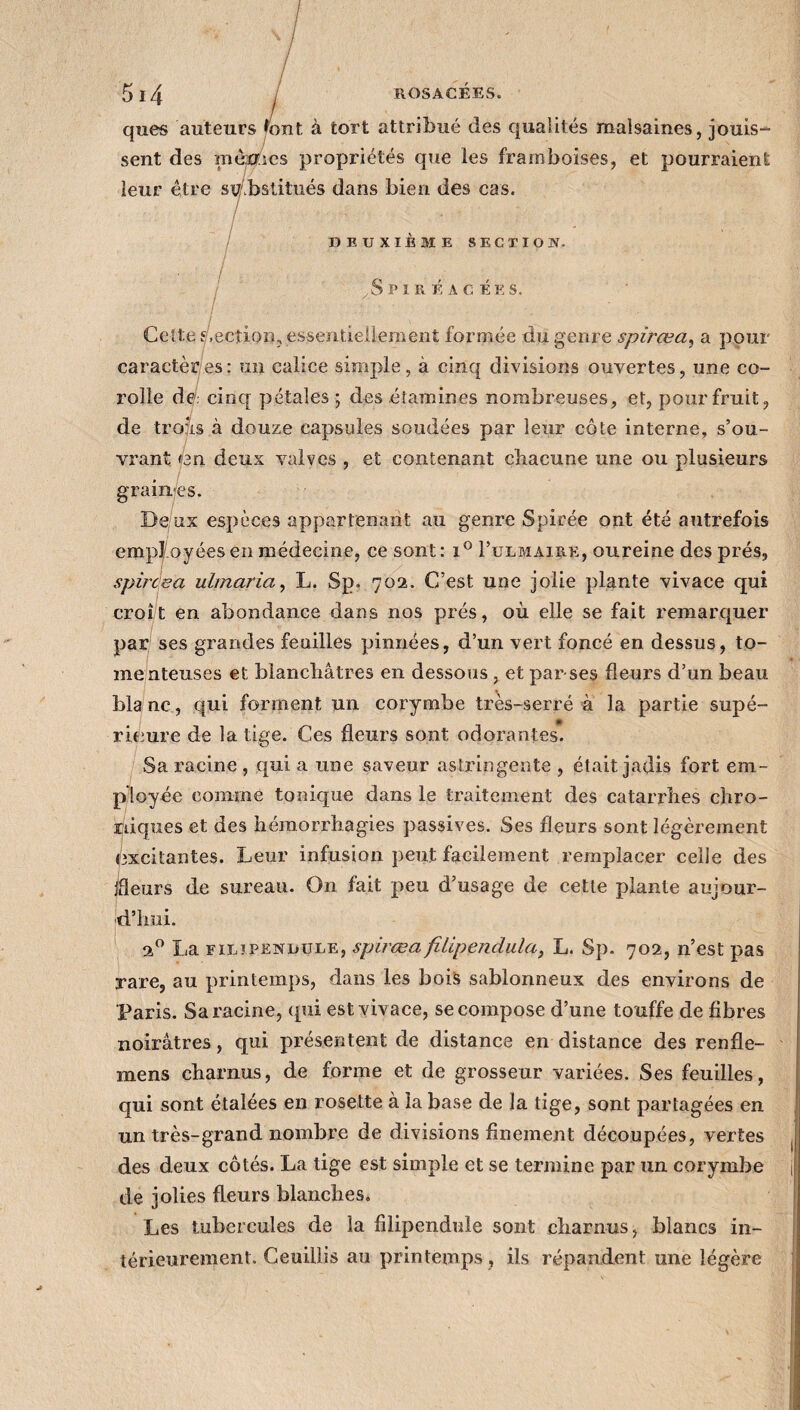 ■5i4 j ques auteurs tout à tort attribué des qualités malsaines, jouis¬ sent des mècOes propriétés que les framboises, et pourraient leur être su bstitués dans bien des cas. / / / DEUXIEME SECIIOH. Spiréacées. Cette s,eçliQn, essentiellement formée du genre spirœa, a pour caractères: un calice simple, à cinq divisions ouvertes, une co¬ rolle de/, cinq pétales ; des étamines nombreuses, et, pour fruit, de trois à douze capsules soudées par leur côte interne, s’ou¬ vrant én deux valves , et contenant chacune une ou plusieurs . graines. De ux espèces appartenant au genre Spirée ont été autrefois empl/.oyéesen médecine, ce sont: i° I’ulmaire, oureine des prés, spirtea ulmaria, L. Sp. 702. C’est une jolie plante vivace qui croît en abondance dans nos prés, où elle se fait remarquer par ses grandes feuilles pinnées, d’un vert foncé en dessus, to¬ me nteuses et blanchâtres en dessous , et par-ses fleurs d’un beau blanc, qui forment un corymbe très-serré à la partie supé¬ rieure de la tige. Ces fleurs sont odorantes. Sa racine , qui a une saveur astringente , était jadis fort em¬ ployée comme tonique dans le traitement des catarrhes chro- Ùiiques et des hémorrhagies passives. Ses fleurs sont légèrement excitantes. Leur infusion peut facilement remplacer celle des îfleurs de sureau. On fait peu d’usage de cette plante aujour¬ d’hui. 20 La filipendule, spirœa filipendula, L. Sp. 702, n’est pas rare, au printemps, dans les bois sablonneux des environs de Paris. Sa racine, qui est vivace, se compose d’une touffe de fibres noirâtres, qui présentent de distance en distance des renfle- mens charnus, de forme et de grosseur variées. Ses feuilles, qui sont étalées en rosette à la base de la tige, sont partagées en un très-grand nombre de divisions finement découpées, vertes des deux côtés. La tige est simple et se termine par un corymbe de jolies fleurs blanches. Les tubercules de la filipendule sont charnus, blancs in— térieurement. Ceuillis au printemps , ils répandent une légère