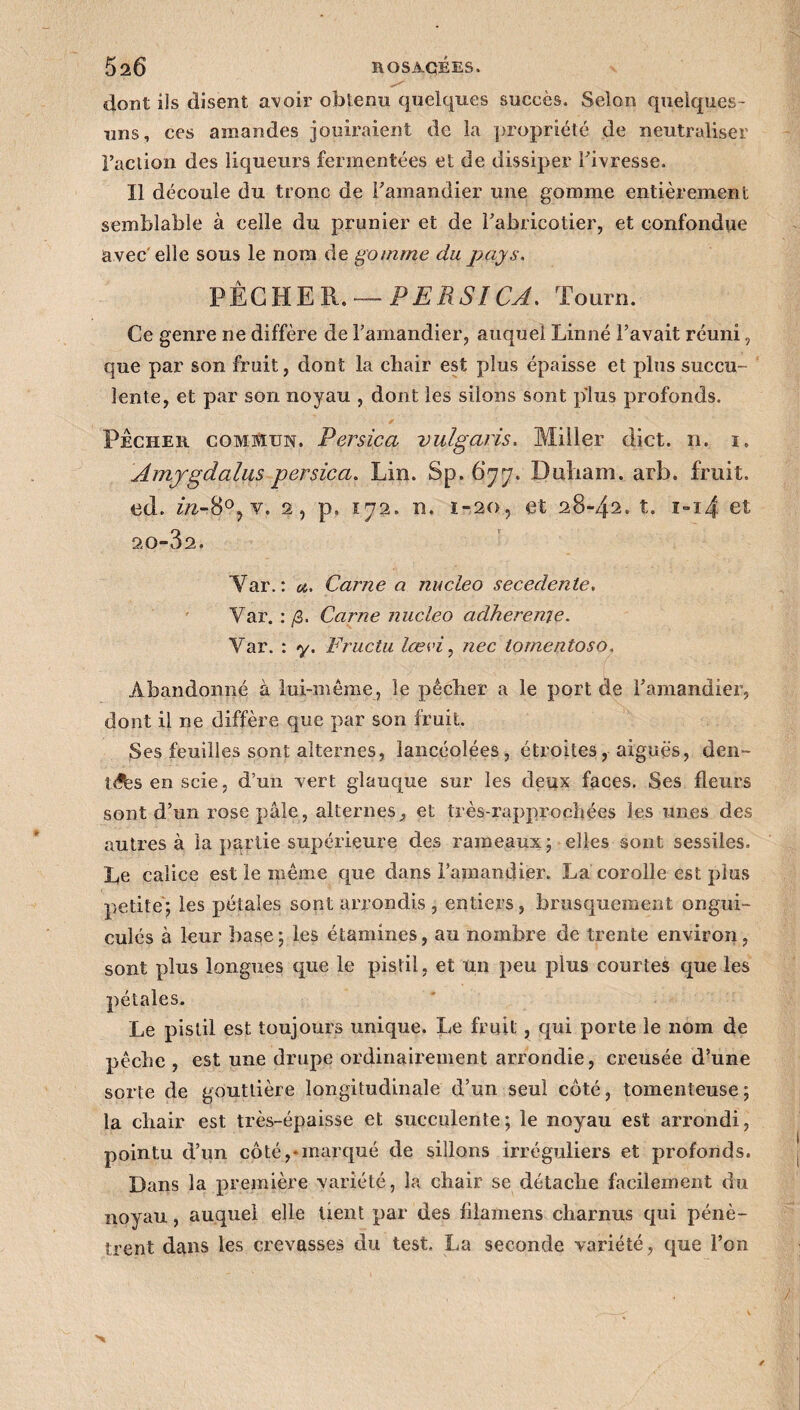 dont ils disent avoir obtenu quelques succès. Selon quelques- uns, ces amandes jouiraient de la propriété de neutraliser Faction des liqueurs fermentées et de dissiper Fivresse. Il découle du tronc de l'amandier une gomme entièrement semblable à celle du prunier et de l'abricotier, et confondue avec elle sous le nom de gomme du pays. PÊCHER. — P ERS I CA. Tourn. Ce genre ne diffère de l'amandier, auquel Linné l’avait réuni, que par son fruit, dont la chair est plus épaisse et plus succu¬ lente, et par son noyau , dont les silons sont plus profonds. * Pécher commun. Persica vulgaris. Miller dict. n. i. Amyrgdalus persica. Lin. Sp. 677. Dirham, arb. fruit, ed. in-8°? v. 2, p. 172. n. ï-20, et 28-42. t. 1-14 et 20-32. Var. : u. Carne a nucleo secedente. Var. : /3. Carne nucleo adhérente. Yar. : y. Fructu lœvi, nec tomentoso. Abandonné à lui-même, le pêcher a le port de l’amandier, dont il ne diffère que par son fruit. Ses feuilles sont alternes, lancéolées, étroites, aiguës, den¬ tés en scie, d’un vert glauque sur les deux faces. Ses fleurs sont d’un rose pâle, alternes, et très-rapprochées les unes des autres à la partie supérieure des rameaux; elles sont sessües. Le calice est le même que dans l’amandier. La corolle est plus petite; les pétales sont arrondis , entiers, brusquement ongui¬ culés à leur base; les étamines, au nombre de trente environ, sont plus longues que le pistil, et un peu plus courtes que les pétales. Le pistil est toujours unique. Le fruit , qui porte le nom de pêche , est une drupe ordinairement arrondie, creusée d’une sorte de gouttière longitudinale d’un seul côté, tomenteuse ; la chair est très-épaisse et succulente; le noyau est arrondi, pointu d’un côté,-marqué de sillons irréguliers et profonds. Dans la première variété, la chair se détache facilement du noyau, auquel elle tient par des fllamens charnus qui pénè¬ trent dans les crevasses du test, La seconde variété, que l’on