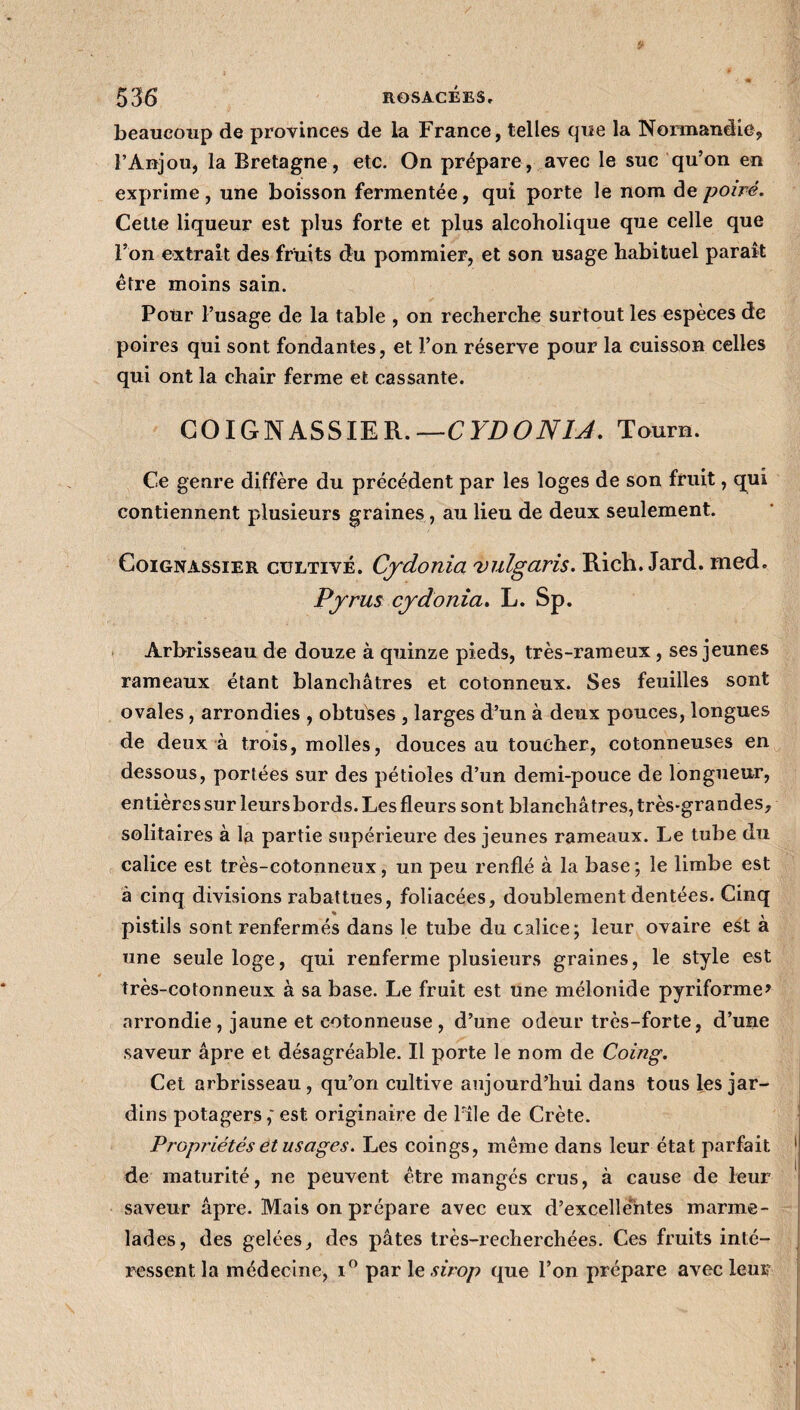 beaucoup de provinces de la France, telles que la Normandie, l’Anjou, la Bretagne, etc. On prépare, avec le suc qu’on en exprime, une boisson fermentée, qui porte le nom de poiré. Cette liqueur est plus forte et plus aleoholique que celle que l’on extrait des fruits du pommier, et son usage habituel paraît être moins sain. Pour l’usage de la table , on recherche surtout les espèces de poires qui sont fondantes, et l’on réserve pour la cuisson celles qui ont la chair ferme et cassante. CO IGN ASSIE R. —CYDONIA. Tourn. Ce genre diffère du précédent par les loges de son fruit, qui contiennent plusieurs graines, au lieu de deux seulement. Coignassier cultivé. Cjdonia vulgaris. Rich. Jard. med. Pjrrus cjdonia. L. Sp. Arbrisseau de douze à quinze pieds, très-rameux , ses jeunes rameaux étant blanchâtres et cotonneux. Ses feuilles sont ovales, arrondies , obtuses , larges d’un à deux pouces, longues de deux à trois, molles, douces au toucher, cotonneuses en dessous, portées sur des pétioles d’un demi-pouce de longueur, entières sur leursbords. Les fleurs sont blanchâtres, très-grandes, solitaires à la partie supérieure des jeunes rameaux. Le tube du calice est très-cotonneux, un peu renflé à la base; le limbe est à cinq divisions rabattues, foliacées, doublement dentées. Cinq pistils sont renfermés dans le tube du calice; leur ovaire est a une seule loge, qui renferme plusieurs graines, le style est très-cotonneux à sa base. Le fruit est une mélonide pyriforme* arrondie, jaune et cotonneuse , d’une odeur très-forte, d’une saveur âpre et désagréable. Il porte le nom de Coing. Cet arbrisseau, qu’on cultive aujourd’hui dans tous les jar¬ dins potagersest originaire de File de Crète. Propriétés et usages. Les coings, même dans leur état parfait de maturité, ne peuvent être mangés crus, à cause de leur saveur âpre. Mais on prépare avec eux d’excelle'ntes marme¬ lades, des gelées, des pâtes très-recherchées. Ces fruits inté¬ ressent la médecine, i° par le sirop que l’on prépare avec leur