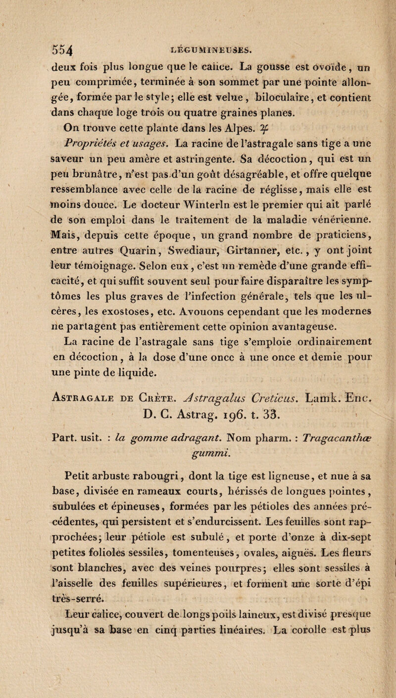 deux fois plus longue que le calice. La gousse est ovoïde, un peu comprimée, terminée à son sommet par une pointe allon¬ gée, formée par le style; elle est velue , biloculaire, et contient dans chaque loge trois ou quatre graines planes. On trouve cette plante dans les Alpes, if Propriétés et usages. La racine de l’astragale sans tige a une saveur un peu amère et astringente. Sa décoction, qui est un peu brunâtre, n’est pas.d’un goût désagréable, et offre quelque ressemblance avec celle de la racine de réglisse, mais elle est moins douce. Le docteur Winterln est le premier qui ait parlé de son emploi dans le traitement de la maladie vénérienne. Mais, depuis cette époque, un grand nombre de praticiens, entre autres Quarin, Swediaur, Girtanner, etc., y ont joint leur témoignage. Selon eux , c’est un remède d’une grande effi¬ cacité, et qui suffit souvent seul pour faire disparaître les symp¬ tômes les plus graves de l’infection générale, tels que les ul¬ cères, les exostoses, etc. Avouons cependant que les modernes ne partagent pas entièrement cette opinion avantageuse. La racine de l’astragale sans tige s’emploie ordinairement en décoction, à la dose d’une once à une once et demie pour une pinte de liquide. Astbagale de Crète. Jistrcigalus Creticus. Lamk. Enc. D. G. Astrag. 196. t. 33. Part. usit. : la gomme adragant. Nom pharm. : Tragacanthœ gummi. Petit arbuste rabougri, dont la tige est ligneuse, et nue à sa base, divisée en rameaux courts, hérissés de longues pointes , subulées et épineuses, formées par les pétioles des années pré¬ cédentes, qui persistent et s’endurcissent. Les feuilles sont rap¬ prochées; leur pétiole est subulé, et porte d’onze à dix-sept petites folioles sessiles, tomenteuses, ovales, aiguës. Les fleurs sont blanches, avec des veines pourpres; elles sont sessiles à l’aisselle des feuilles supérieures, et forment une sorte d’épi très-serré. Leur calice, couvert de longs poils laineux, est divisé presque jusqu’à sa base en cinq parties linéaires. La corolle est plus