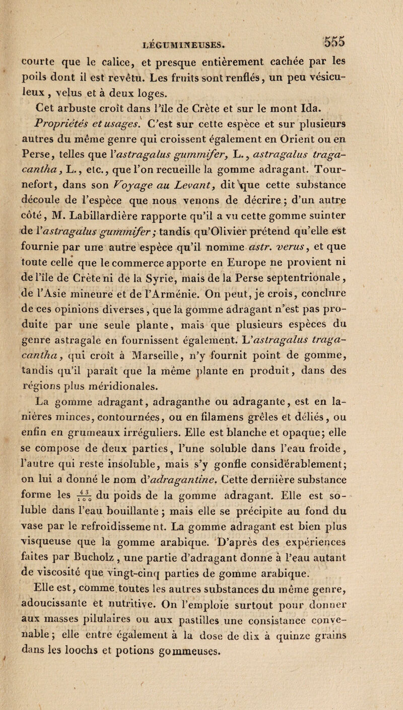 courte que le calice, et presque entièrement cachée par les poils dont il est revêtu. Les fruits sont renflés, un peu vésicu- leux , velus et à deux loges. Cet arbuste croît dans l’île de Crète et sur le mont Ida. Propriétés et usages. C'est sur cette espèce et sur plusieurs autres du même genre qui croissent également en Orient ou en Perse, telles que Vastragalus gummifer, L., astragalus traga- canlha, L., etc., que l’on recueille la gomme adragant. Tour- nefort, dans son Voyage au Levant, dit 'que cette substance découle de l’espèce que nous venons de décrire ; d’un autre côté, M. Labillardière rapporte qu’il a vu cette gomme suinter de l’astragalus gummifer ; tandis qu’Olivier prétend qu’elle est fournie par une autre espèce qu’il nomme astr. verus, et que • • • toute celle que le commerce apporte en Europe ne provient ni de l’île de Crète ni de la Syrie, mais de la Perse septentrionale , de l’Asie mineure et de l’Arménie. On peut, je crois, conclure de ces opinions diverses, que la gomme adragant n’est pas pro¬ duite par une seule plante, mais que plusieurs espèces du genre astragale en fournissent également. astragalus traga- cantha, qui croît à Marseille, n’y fournit point de gomme, tandis qu’il parait que la même plante en produit, dans des régions plus méridionales. La gomme adragant, adraganthe ou adragante, est en la¬ nières minces, contournées, ou en filamens grêles et déliés, ou enfin en grumeaux irréguliers. Elle est blanche et opaque; elle se compose de deux parties, l’une soluble dans l’eau froide, l’autre qui reste insoluble, mais s’y gonfle considérablement; on lui a donné le nom d’adragantine. Cette dernière substance forme les ^ du poids de la gomme adragant. Elle est so¬ luble dans l’eau bouillante ; mais elle se précipite au fond du vase par le refroidisseme nt. La gomme adragant est bien plus visqueuse que la gomme arabique. D’après des expériences faites par Bucholz , une partie d’adragant donne à l’eau autant de viscosité que vingt-cinq parties de gomme arabique. Elle est, comme toutes les autres substances du même genre, adoucissante et nutritive. On l’emploie surtout pour donner aux masses pilulaires ou aux pastilles une consistance conve¬ nable ; elle entre également à la dose de dix à quinze grains dans les loochs et potions gommeuses.