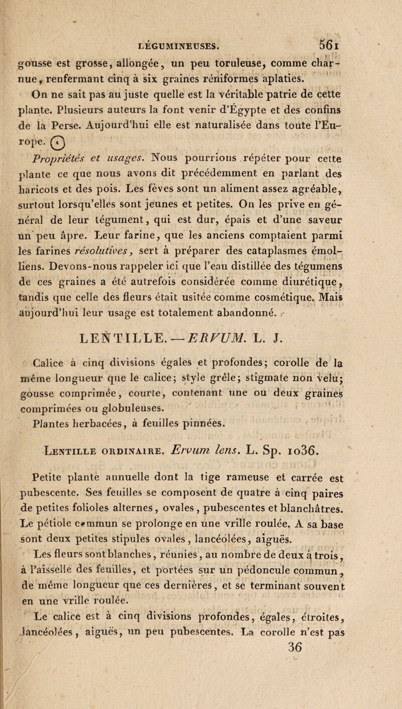 gousse est grosse, allongée, un peu toruleuse, comme char¬ nue , renfermant cinq à six graines réniformes aplaties. On ne sait pas au juste quelle est la véritable patrie de cette plante. Plusieurs auteurs la font venir d’Égypte et des confins de la Perse. Aujourd’hui elle est naturalisée dans toute l’Eu¬ rope. Propriétés et usages. Nous pourrions répéter pour cette plante ce que nous avons dit précédemment en parlant des haricots et des pois. Les fèves sont un aliment assez agréable, surtout lorsqu’elles sont jeunes et petites. On les prive en gé¬ néral de leur tégument, qui est dur, épais et d’une saveur un peu âpre. Leur farine, que les anciens comptaient parmi les farines résolutives, sert à préparer des cataplasmes émoi- liens. Devons-nous rappeler ici que l’eau distillée des tégumens de ces graines a été autrefois considérée comme diurétique, tandis que celle des fleurs était usitée comme cosmétique. Mais aujourd’hui leur usage est totalement abandonné, r LENTILLE. — ERFUM. L. J. Calice à cinq divisions égales et profondes; corolle de la même longueur que le calice; style grêle; stigmate non velu; gousse comprimée, courte, contenant une ou deux graines comprimées ou globuleuses. Plantes herbacées, à feuilles pinnées. Lentille ordinaire. Ervum lens. L. Sp. io36» Petite plante annuelle dont la tige rameuse et carrée est pubescente. Ses feuilles se composent de quatre à cinq paires de petites folioles alternes, ovales, pubescentes et blanchâtres. Le pétiole commun se prolonge en une vrille roulée. A sa base sont deux petites stipules ovales, lancéolées, aiguës. Les fleurs sont blanches, réunies, au nombre de deux à trois, à l’aisselle des feuilles, et portées sur un pédoncule commun, de même longueur que ces dernières, et se terminant souvent en une vrille roulée. Le calice est à cinq divisions profondes, égales, étroites, ,lancéolées , aiguës, un peu pubescentes. La corolle n’est pas 36