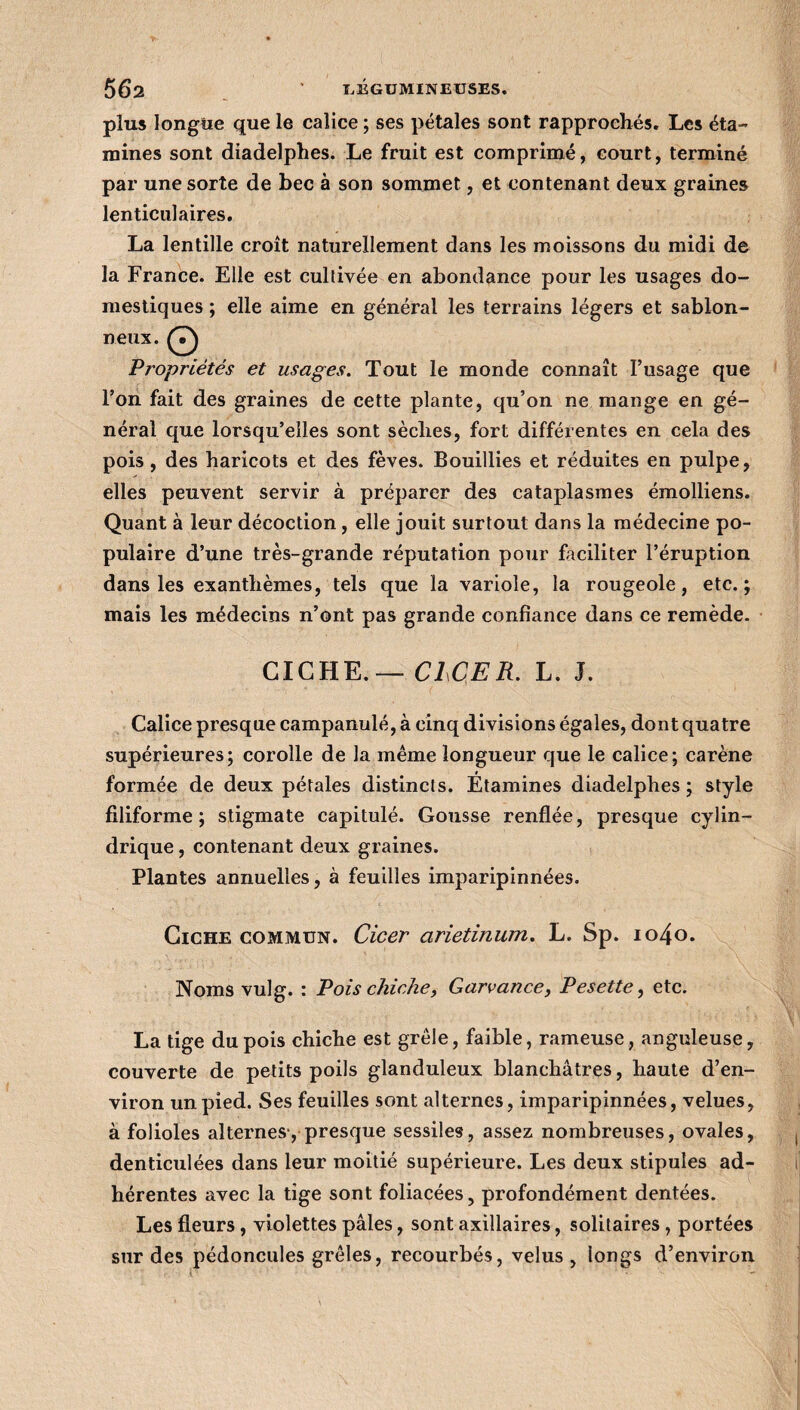 plus longue que le calice ; ses pétales sont rapprochés. Les éta¬ mines sont diadelphes. Le fruit est comprimé, court, terminé par une sorte de bec à son sommet, et contenant deux graines lenticulaires. La lentille croît naturellement dans les moissons du midi de la France. Elle est cultivée en abondance pour les usages do¬ mestiques ; elle aime en général les terrains légers et sablon¬ neux. O Propriétés et usages. Tout le monde connaît l’usage que l’on fait des graines de cette plante, qu’on ne mange en gé¬ néral que lorsqu’elles sont sèches, fort différentes en cela des pois , des haricots et des fèves. Bouillies et réduites en pulpe, elles peuvent servir à préparer des cataplasmes émolliens. Quant à leur décoction , elle jouit surtout dans la médecine po¬ pulaire d’une très-grande réputation pour faciliter l’éruption dans les exanthèmes, tels que la variole, la rougeole, etc.; mais les médecins n’ont pas grande confiance dans ce remède. CICHE.— C1CER. L. J. Calice presque campanule, à cinq divisions égales, dont quatre supérieures; corolle de la même longueur que le calice; carène formée de deux pétales distincts. Étamines diadelphes; style filiforme; stigmate capitulé. Gousse renflée, presque cylin¬ drique , contenant deux graines. Plantes annuelles, à feuilles imparipinnées. Ciche commun. Cicer arietinum. L. Sp. io4o. Noms vulg. : Pois chiche, Garvance, Pesette, etc. La tige du pois chiche est grêle, faible, rameuse, anguleuse, couverte de petits poils glanduleux blanchâtres, haute d’en¬ viron un pied. Ses feuilles sont alternes, imparipinnées, velues, à folioles alternes, presque sessiles, assez nombreuses, ovales, denticulées dans leur moitié supérieure. Les deux stipules ad¬ hérentes avec la tige sont foliacées, profondément dentées. Les fleurs, violettes pâles, sont axillaires, solitaires , portées sur des pédoncules grêles, recourbés, velus, longs d’environ