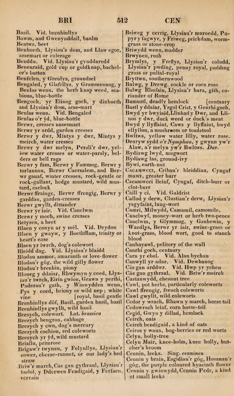 Basil. Vid. brenhinllys Bawm, and Gwenynddail, baulra Beatw’s, beet Benboetli, Llysiau’s dom, and Llaw egor, arsemart or culerage Benddu. Vid. Llysiau’r gynddaredd Beneuraid, gold cup or goldknap, bachel- or’s button Benfelen, y Greulys, grOundsel Bengaled, y Glafrllys, y Grammennog, y Benlas wenn, the herb knap weed, sca- bious, blue-bottle Bengoch, yr Elinog goch, y dinboeth and Llysiau’r dom, arse-raart Benlas wenn. Vid. Bengaled Benlas o’r ŷd, blue-bottle BerwT, cresses nosesmart Berwr yr ardd, garden cresses Berwr y dwr, Mintys y dwr, Mintys y raeirch, water cresses Berwr y dwu’ melyn, Persli’r dwr, yel- iow water cresses or water-parsly, bel- ders or bell rags Berwr y fara, Berwr y Famraog, Berwr y torlannau, Berwr Caersalem, and Ber- wr gauaf, winter cresses, rock-gentle or rock-gallant, hedge raustard, wild mus- tard, carlock Berwr ífraingc, Berwr íFrengig, Berwr y garddau, garden-cresses Berwr gwyllt, dittander Berwryriair. Vid. Canclwm Berwr y raoch, swine cresses Betysen, a beet Blaen y conyn ar y mêl. Vid. Brydon Blaen y gwayw, y Boethfflam, trinity or heart’s ease Blaen yr iwrch, dog’s colewort Bleidd dag. Vid. Llysiau’r blaidd Blodau arnmor, amaranth or love-flower Blodau’r gôg, the wild gilly flower Blodau’r brenhin, piony Bloneg y ddaiar, Rhwymyn y coed, Lìys- iau’r twrch,Eirin gwion, Grawn y perthi, Paderau’r gath, y Winwydden wenn, Pys y coed, briony or wild ncp ; white vine [royal, basil gentle Brenhinllys dôf, Basil, garden basil, basil Brenhinllys gwyllt, wild basil Bresych, colewort. Lat. hrassica Bresych bengron, cabbage Bresych y cwn, dog’s mercury Bresych cochion, red coleworts Bresych yr ŷd, wild miistaîd Briallu, primrose Brigaw’r twynau, y Felynllys, Llysiau’r cower, cheese-runnet, or our lady’s bed straw Briw’r march,Cas gan gythraul, Llysiau’r hudol, y Dderwen Fendigaid, y Ferfaen, vervain Briweg y cerrig, Llysiau’r muroedd, Pu- pyry fagwyr, y Friweg, prickdam~, worm- grass or stone-crop Briwydd wenn, madder Brwynen, rush Brymlys, y Freflys, Llysiau’r coludd, Llysiau’r pwding, penny royal, pudding grass or pulial-royal Bryttwn, southernwood Bulwg, y Drewg, cockle or corn rose Bulwg Rhufain, Llysiau’r bara, gith, co- riander of Rome Bumustl, deadly hemloch [centaury Bustl y ddaiar, Ysgol Crist, y Genrhi goch, Bwyd yr hwyiaid,LIinhady Dwr, and Lli- nos y dwr, duck weed or duck’s meat Bwyd y llyíFaint, Caws y llyíFaint, bwyd ellyllon, a mushr«om or toadstool Bwltws, yellow water lilly, water rose. Deuryw sydd o't Nymphcea, y gwynn yvv’r Alaw, a’r raelyn yw’r Bwltws. ì)av. Bydiawg Iwyd, mugwort Bydiawg las, ground-ivy Bywi, earth-nut Cacamwcci, Cribau’r bleiddiau, Cyngaf mawr, greater burr Cacamwcci lleiaf, Cyngaf, ditch-burr or clot-burr Caill y ci. Vid. Galdrrst Callod y derw, Clustiau’r derw, Llysiau’r ysgyfaint, lung-wort Camri, Milwydd, Camarail, camomile. Canclwyf, money-wort or herb two-pence Canclwm, y Glymmog, y Ganhewin, y Waedlys, Berwr yr iair, swine-grass or knot-grass, blood wort, good to stanch blood Canhayawl, pelitory of the wall Canrhi goch, centaury Carn yr ebol. Vid. Alan bychan Canwyll yr adar. Vid. Dewbanog Câs gan arddwr. Vid. Hwp yr ychen Cäs gan gythraul. Vid. Briw’r meirch Castanwydd, chesnut tree Cawl, pot herbs, particularly coleworts Cawl ffrengig, french coleworts Cawl gwyllt, wild coleworts Codor y wrach, Rhawn y march, horse tail Cedowrach leiaf, corn horse-tail Cegid, Gwyn y dillad, hemlock Ceirch, oats Ceirch bendigaid, a kind of oats Ceiros y waun, bog-berries or red worts Celyn, holly-tree Celyn Mair, knee-holm, knee holly, but- cher’s broom Cennin, leeks. Sing. cenninen Cennin y brain, Esgidiau’r gôg, Hosanau’r gôg, the purple coloured hyacinth Hower Cennin y gwinwydd, Cennin Pcdr, a kind oí sraall leeks