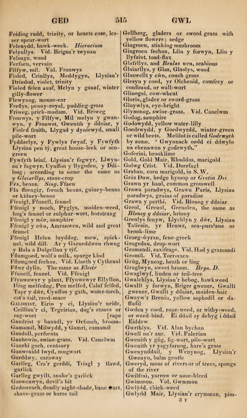Feidiog’ rudd, trinity, or hearts ease, les- ser spear-wort Felenydd, hawk-week. Hieracium Felynilys. Vid. Brigau'r twynau Felsugn, woad Ferfaen, vervain Filfyw, mil. Vid. Fronwys Fioled, Crinllys, Meddygyn, Llysiau’r Drindod, violet, trinity Fioìed felen auaf, Melyn y gauaf, winter gilly-flower Flewynog, raouse-ear Freflys, penny-royal, pudding-grass Friweg, prick-madam. Vid. Briweg Fronwys, y Filfyw, Mil melyn y gwan- wyn, y Fronwst, Gwenith y ddaiar, y Fioled fraith, Llygad y dyniewyd, small pile-wort Fyddarlys, y Fywlys fwyaf, y Fywfyth Lìysiau pen tŷ, great house-leek or sen- green Fywfyth leiaf, Llysiau’r fagwyr, Llwyn- au’r fagwyr, Cynífon y llygoden, y Ddi- losg; according to some the same as y GlaiarllySy stone-crop FfA,beans. Sing.Vísie\ì Ffa tfrengig, french beans, guiney-beans or kidney-beans Ffenigl, Ffunell, fennel Ffenigl y mocb, Pyglys, maiden-weed, lìog’s fennel or sulphur-wort, horstrang Ffenigl y môr, samphire Ffenigl y cŵn, Amranwen, wdld and great fennel Ffenigl Helen luyddog, mew, spick- nel, wild dill. Ar y Garneddwen rliwng y Bala a Dolgellau y tŷf. Fflamgoed, wolfs milk, spurge kind Fflamgoed fecban. ^ Vid. Lîaeth y Cythraul Fflwr dylîs. Tlie same as Elestr Ffunell, fennel. Vid. Ffenigl Ffynwewyr y plant, Ffynwewyr Ellyllon, Dêsg melfedog, Pen melfed, Calaf felfed, Tapr y dŵr, Cynffon y gàtb, water-torch, cat’s tail, reed-mace Galdrist, Eirin y ci, Llysiau’r neidr, Ceilliau’r ci, Tegeirian, dog’s stones or rag-wort [rape Gandrist y banadl, yr Orfancb, broom- Gamamil, Milwydd, y Gamri, camamil Gandoll, perforata Ganhewin, swine-grass. Vid. Canclwm Ganrhi goch, centaury Ganwiaidd Iwyd, mugwort Garddwy, caraway Garlleg, Cra’r gerddi, Triagl y tlawd, garlick Garlleg gwyilt, snalce’s garlic^ Gaswenwyn, deyil’s bit Gedowrach, deadly night-shade,bane ẅort, shave-grass or horse tail Gellhesg, gladers or sword grass with yellow flowers; sedge Gingroen, stinking mushroom Gingroen fechan, Llin y forwyn> Llin y llyfaint, toad-flax Glafrllys, and Benlas wen^ scabious Glaiarllys, y Glas, Glaslys, woad Glaswellty cŵn, couch grass Glesyn y coed, yr Olchenid, comfrey or confound, or wall-wort Glinogai, cow-wheat (ìrloria, glader or sword-grass Gloywlys, eye-bright Glymmog, swine-grass. Vid. Canclwm Godog, sampliire Godowydd, yellow water-lilly Goedrwydd, y Goedwyrdd, winter-green or wild beets. Melilot is called Godrwyth by some. ‘ Gwynnach oedd ei ddwylo na chenawon y godrwyth.’^ Goferini, brooklime Gold, Gold Mair, Rhuddos, marigold Golwg Crist. Vid. Dorrfaiil Graban, corn marigold, in S. W. Gräs Duw, bedge hyssop or Gretia Dei Grawn yr haul, common gromwell Grawn paradwys, Grawn Paris; Llysiau paradwys, grains of paradise Grawn y perthi. Vid. Bloneg y ddaiar Greol, Greuol, Greuolen, tbe same as Bloneg y ddaiar, briony Greulys fenyw, Llychlyn y dŵr, Llysiau Taliesin, yr Henwr, sea-purslane or brook-lime Groeg-ŵyran, fene-greek Grogedau, drop-wort Gromandi, saxifrage. Vid. Had y gramandi Gromil. Vid. Torrumen Grûg, Myncog, heath or ling Gruglwyn, sweet broorn. Brya. D. Gwaglwyf, linden or teil-tree Gwalchlys, Llysiau’r hebog, hawkweed Gwallt y forwyn, Briger gwener, Gwallt gwener, Gwallt y ddaiar, maiden-hair Gwayw’r Brenin, yellow asphodil or da- ífadil Gwden y coed, rope-weed, or witby-weed, or weed-bind. Ei ddail sy debyg i ddail Eiddew Gwrthlys. Vid. Alan bychan Gwell na’r aur. Vid, Falerian Gwenith y gôg, fig-wmrt, pile-wort Gwenith yr ysgyfarnog, hare’s grass Gwenynddail, y Wenynog, Llysiau’r Gwenyn, balm gentle Gweryd, moss of riversorof trees, sponge of the river Gwilfrai, yarrow or nose-bleed Gwimmon. Vid. Gwnimon Gwdŷdd, chick-weed Gw'lydd Mair, Llysiau’r crymman, pira- 3 T