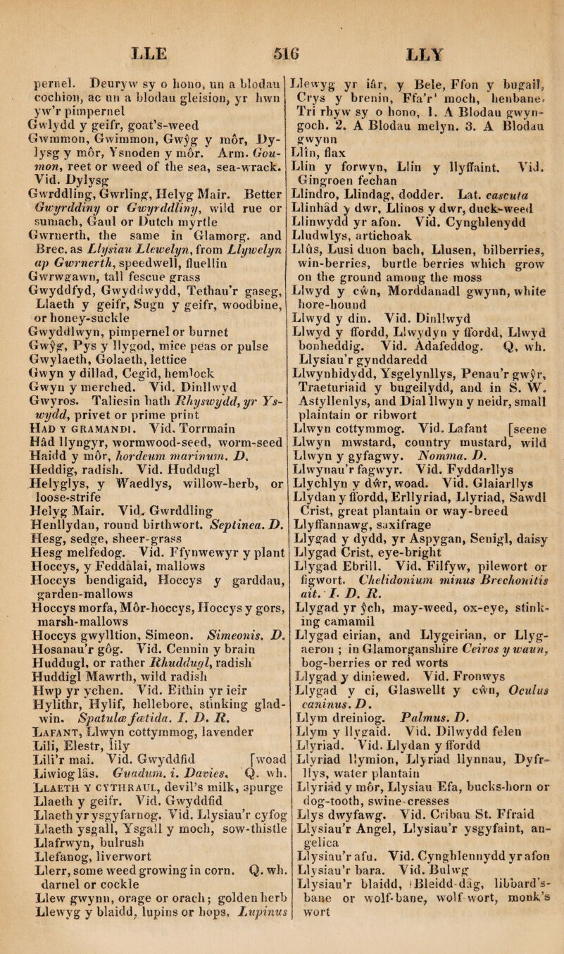 pernel. Deuryw sy o hono, un a blodaii cochion, ac un a blodau gleision, yr hwn yw’r pimpernel Gwlydd y geifr, goat’s-weed Gwmmon, Gwimmon, Gwŷg y môr, Dy- ]ysg y môr, Ysnoden y môr. Arm. Gou- mon, reet or weed of the sea, sea-wrack. Vid. Dylysg Gwrddling, Gwrling, Helyg Mair. Better Gwyrddiny or Gwyrddliny, wüd rue or sumach, Gaul or Dutch mŷrtle Gwrnertlì, the sarae in Glamorg. and Brec. as Llysiau Llewelyn, from Llywelyn ap Gwrnerth, speedwell, fluellin Gwrwgawn, tall fescue grass Gwyddfyd, Gwyddwydd, Tethau’r gaseg, Llaeth y geifr, Sugn y geifr, woodbine, or honey-suchle Gwyddlwyn, pimpernelor burnet Gwŷg, Pys y llygod, mice pcias or pulse Gwylaeth, Golaeth, lettice Gwyn y dillad, Cegid, hemloch Gwyn y merched. Vid. Dinllwyd Gwyros. Taliesin hath Rhyswyddtyr Ys- wydd^ privet or prirae print Had y grämandi. Vid, Torrmaín Hâd llyngyr, wormwood-seed, worm-seed Haidd y môr, hordeum marinum. D. Heddig, radish. Vid. Huddugl Helyglys, y Waedlys, willow-herb, or Heîyg Mair. Vid. Gwrddling Henllydan, round birthworí. Septinea.D. Hesg, sedge, sheer-grass Hesg melfedog. Vid. Ffynwewyr y plant Hoccys, y Feddalai, mallows Hoccys bendigaid, Hoccys y garddau, garden-mallows Hoccys morfa, Môr-hoccys, Hoccys y gors, marsh-mallows Hoccys gwylltion, Simeon. Simeonis. D. Hosanau’r gôg. Vid. Cennin y brain Huddugl, or rather Rhudducjly radisli Huddigl Mawrtlì, wild radish Hwp yr ychen. Y’id. Eithin yr ieir Hylithr, Hylif, hellebore, stinhing glad- win. SpatulcB fcetida. I. D, R. Lafant, Llwyn cottymmog, lavender Lili, Elestr, lily Lili’r mai. Vid. Gwyddfíd [woad Liwiogläs. Guadum. i. Davies. Q. wh. Llaeth y cythraul, devil’s milk, spurge Llaeth y geií'r. Vid. Gwyddfíd Llaethyrysgyfarnog. Vid. Llysiau’r cyfog Llaeth ysgalì, Ysgall y moch, sow-thísíle Llafrwyn, bulrush Llefanog, liverwort Llerr, some weed growing in corn. Q. wh. darnel or cockle Llew gwynn, orage or orach; goldenherb Llewyg y blaidd, lupins or hops, I.upinus Llexvyg yr iâr, y Bele, Ffon y bugail, Crys y brenin, Ffa’r' moch, henbane. Tri rhyw sy o hono, 1. A Blodau gwyn- goch. 2. A Blodau melyn. 3. A Blodau gwynn Llîn, flax Llin y forwyn, Llîn y llyffaint, Vid, Gingroen fechan Llmdro, Llindag, dodder. Lat. cascuta Llinhäd y dwr, Llinos y dwr, duck'-weed Llinwydd yr afon. Vid. Cynghlenydd Lludwlys, artichoak Llûs, Lusi duon bach, Llusen, bilberries, win-berries, burtle berries which grow on the ground among the raoss Llwyd y cŵn, Morddanadl gwynn, white hore-hound Llwyd y din. Vid. Dinllwyd Llwyd y ífordd, Llwydyn y ffbrdd, Llwyd bonheddig. Yid. Adafeddog. Q, wh. Llysiau’r gynddaredd Llwynhidydd, Ysgelynllys, Penau’r gwŷr, Traeturiaid y bugeilydd, and in S. W. Astyllenlys, and Dial llwyn y neidr, small plaintain or ribwort Llwyn cottyramog. Vid. Lafant [seene Llwyn mwstard, country mustard, wild Llwyn y gyfagwy. Nomma. D. Llwynau’r fagwyr. Vid. Fyddarllys Llychlyn y dŵr, woad. Vid. Glaiarllys Llydany fl'ordd, Erllyriad, Llyriad, Saw'^di Crist, great plantain or way-breed Llyffannawg, saxifrage Llygad y dydd, yr Aspygan, Senigl, daisy Llygad Crist, eye-bright Llygad Ebrill. Vid, Filfyw, pilewort or figwort. Chelidonium minus Brechonitis ait. I. D. R. Llygad yr ŷch, may-weed, ox-eye, stinh- ing camamil Llygad eirian, and Llygeirian, or Llyg- aeron ; in Glamorganshire Ceiros y waun, bog-berries or red worts Llygad y diniewed. Vid. Fronwys Llygad y ci, Glaswellt y cŵn, Oculus caninus. D. Llym dreiniog. Palmus. D. Llym y llygaid. Vid. Dilwydd felen Llyriad. Vid. Llydan y ífordd Llyriad lîymion, Llyriad llynnau, Dyfr- l!ys, water plantain Lìyriâd y môr, Llysiau Efa, buchs-horn or dog-tooth, swine-cresses Llys dwyfawg. Vid. Cribau St. Ffraid Llysiau’r Angel, Llysiau’r ysgyfaint, an- gelica Llysiau’r afu. Vid. Cynghlennydd yrafon Llysiau’r bara. Vid. Bulwg Llysiau’r blaidd, íBleidd-dâg, libbard’s- bane or wolf-bane, wolf wort, raonk’s worí