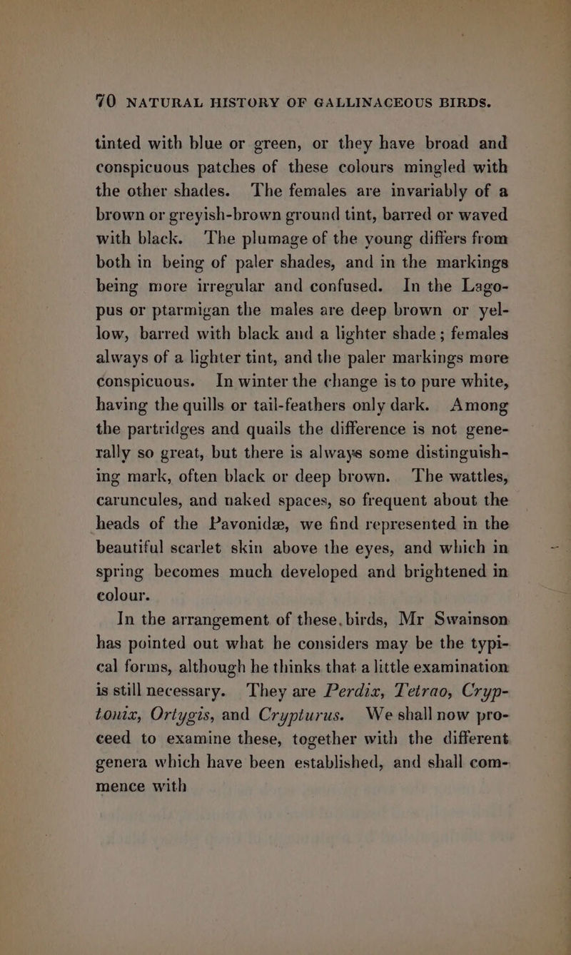 tinted with blue or green, or they have broad and conspicuous patches of these colours mingled with the other shades. The females are invariably of a brown or greyish-brown ground tint, barred or waved with black. The plumage of the young differs from both in being of paler shades, and in the markings being more irregular and confused. In the Lago- pus or ptarmigan the males are deep brown or yel- low, barred with black and a lighter shade ; females always of a lighter tint, and the paler markings more conspicuous. In winter the change is to pure white, having the quills or tail-feathers only dark. Among the partridges and quails the difference is not gene- rally so great, but there is always some distinguish- ing mark, often black or deep brown. The wattles, caruncules, and naked spaces, so frequent about the heads of the Pavonide, we find represented in the beautiful scarlet skin above the eyes, and which in spring becomes much developed and brightened in colour. In the arrangement of these. birds, Mr Swainson has pointed out what he considers may be the typi- cal forms, although he thinks that a little examination is still necessary. They are Perdix, Tetrao, Cryp- tonix, Ortygis, and Crypturus. We shall now pro- ceed to examine these, together with the different genera which have been established, and shall com- mence with