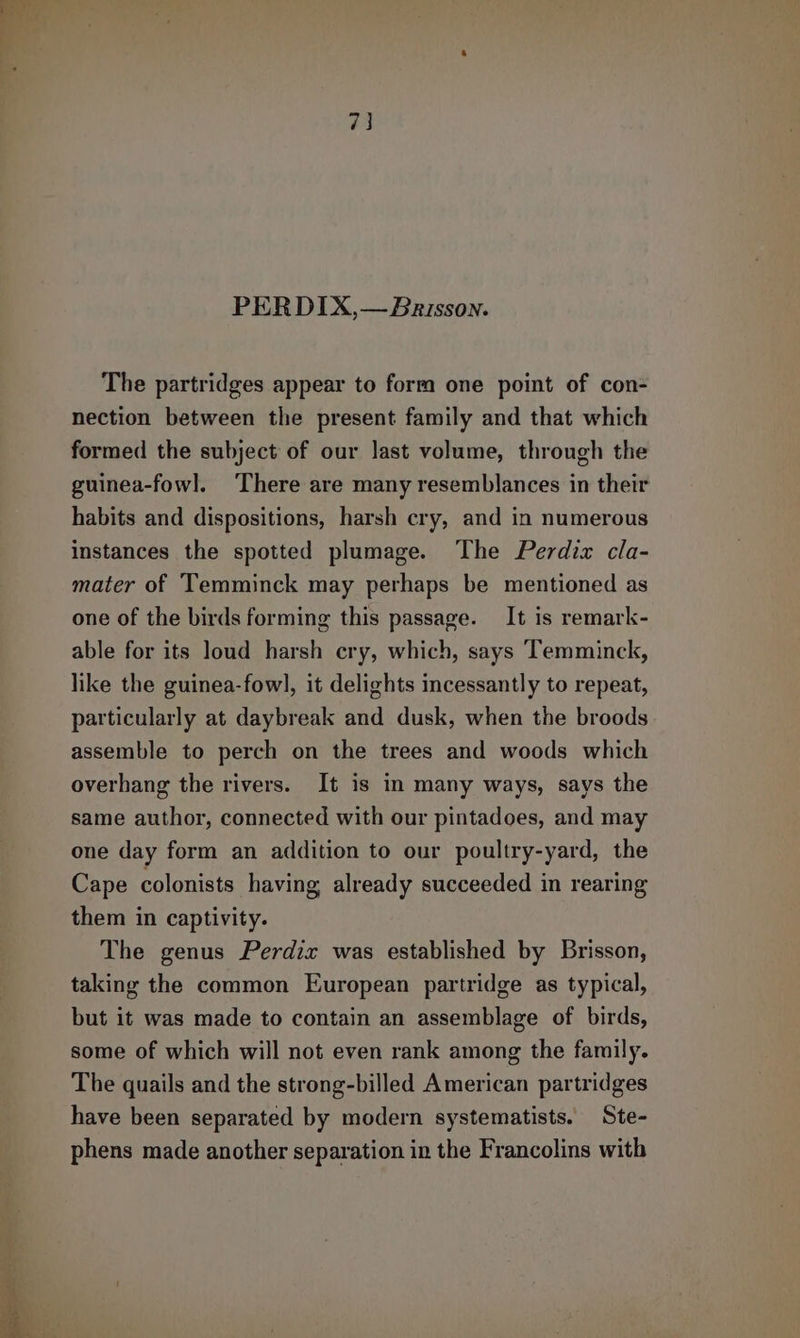 en ela po 73 PERDIX,—Brisson. The partridges appear to form one point of con- nection between the present family and that which formed the subject of our last volume, through the guinea-fowl. There are many resemblances in their habits and dispositions, harsh cry, and in numerous instances the spotted plumage. The Perdix cla- mater of Temminck may perhaps be mentioned as one of the birds forming this passage. It is remark- able for its loud harsh cry, which, says Temminck, like the guinea-fowl, it delights incessantly to repeat, particularly at daybreak and dusk, when the broods assemble to perch on the trees and woods which overhang the rivers. It is in many ways, says the same author, connected with our pintadoes, and may one day form an addition to our poultry-yard, the Cape colonists having already succeeded in rearing them in captivity. The genus Perdix was established by Brisson, taking the common European partridge as typical, but it was made to contain an assemblage of birds, some of which will not even rank among the family. The quails and the strong-billed American partridges have been separated by modern systematists. Ste- phens made another separation in the Francolins with
