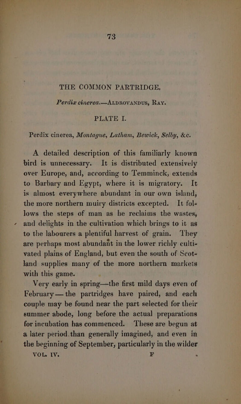 THE COMMON PARTRIDGE, Perdix cinerea.—ALDROVANDUS, Ray. PLATE I. Perdix cinerea, Montague, Latham, Bewick, Selby, &amp;c. A detailed description of this familiarly known bird is unnecessary. It is distributed extensively over Europe, and, according to Temminck, extends to Barbary and Egypt, where it is migratory. It is almost everywhere abundant in our own island, the more northern muiry districts excepted. It fol- lows the steps of man as he reclaims the wastes, and delights in the cultivation which brings to it as to the labourers a plentiful harvest of grain. ‘They are perhaps most abundant in the lower richly culti- vated plains of England, but even the south of Scot- Jand supplies many of the more northern markets with this game. Very early in spring—the first mild days even of February — the partridges have paired, and each couple may be found near the part selected for their summer abode, long before the actual preparations for incubation has commenced. ‘These are begun at a later period.than generally imagined, and even in the beginning of September, particularly in the wilder VOL. IV. F 8