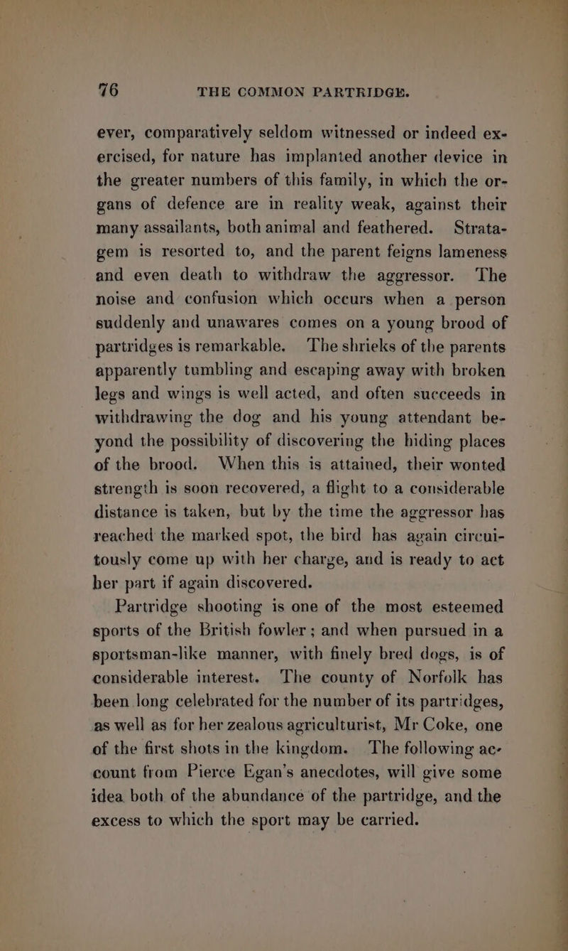 ever, comparatively seldom witnessed or indeed ex- ercised, for nature has implanted another device in the greater numbers of this family, in which the or- gans of defence are in reality weak, against their many assailants, both animal and feathered. Strata- gem is resorted to, and the parent feigns lameness and even death to withdraw the aggressor. The noise and confusion which occurs when a_ person suddenly and unawares comes on a young brood of partridges is remarkable, The shrieks of the parents apparently tumbling and escaping away with broken Jegs and wings is well acted, and often succeeds in withdrawing the dog and his young attendant be- yond the possibility of discovering the hiding places of the brood. When this is attained, their wonted strength is soon recovered, a flight to a considerable distance is taken, but by the time the aggressor has reached the marked spot, the bird has again circui- tously come up with her charge, and is ready to act ber part if again discovered. Partridge shooting is one of the most esteemed sports of the British fowler; and when pursued in a sportsman-like manner, with finely bred dogs, is of considerable interest. The county of Norfolk has been long celebrated for the number of its partridges, as well as for her zealous agriculturist, Mr Coke, one of the first shots in the kingdom. The following ac- count from Pierce Egan’s anecdotes, will give some idea both of the abundance of the partridge, and the excess to which the sport may be carried. a ee eee oe