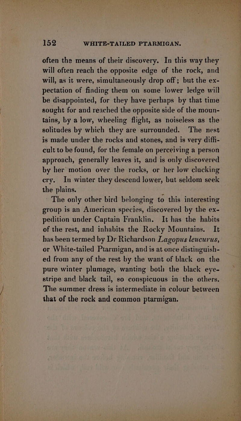 often the means of their discovery. In this way they will often reach the opposite edge of the rock, and will, as it were, simultaneously drop off ; but the ex- pectation of finding them on some lower ledge will be disappointed, for they have perhaps by that time sought for and reached the opposite side of the moun- tains, by a low, wheeling flight, as noiseless as the solitudes by which they are surrounded. The nest is made under the rocks and stones, and is very diffi- cult to be found, for the female on perceiving a person approach, generally leaves it, and is only discovered by her motion over the rocks, or her low clucking cry. In winter they descend lower, but seldom seek the plains. The only other bird belonging to this interesting group is an American species, discovered by the ex- pedition under Captain Franklin. It has the habits of the rest, and inhabits the Rocky Mountains. It has been termed by Dr Richardson Lagopus leucurus, or White-tailed Ptarmigan, and is at once distinguish- ed from any of the rest by the want of black on the pure winter plumage, wanting both the black eye- stripe and black tail, so conspicuous in the others. The summer dress is intermediate in colour between that of the rock and common ptarmigan.
